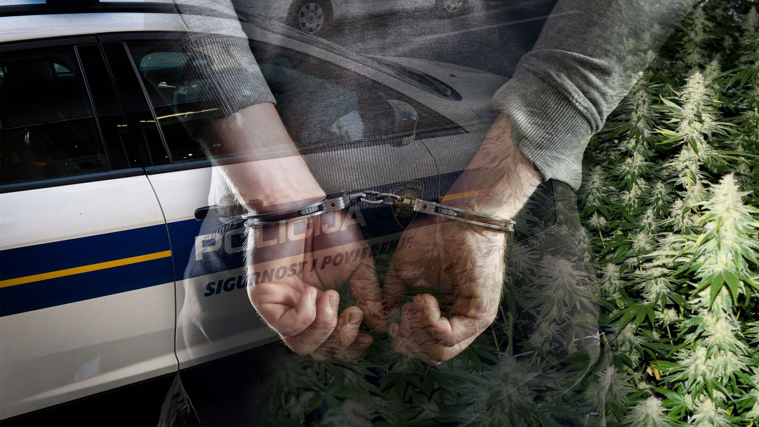 hapsenje hrvatska droga Srbin "pao" u Hrvatskoj sa 600 kilograma droge: Zaplenjeni narkotici vredni milion evra, u tajnoj vikendici zatečeno i oružje