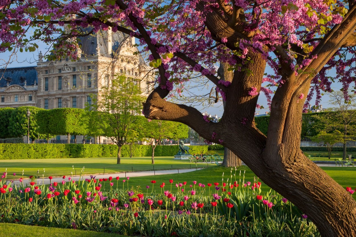 Image: 323956049, License: Rights-managed, Restrictions: , Model Release: no, Credit line: Brian Jannsen / Alamy / Alamy / Profimedia