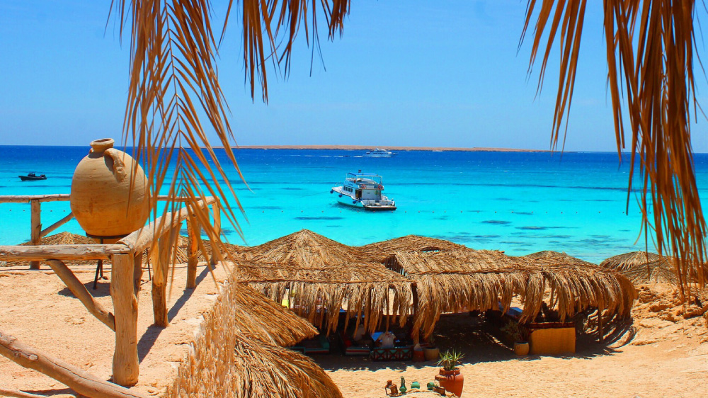 PR Wayout Nova.rs 03.05. sa isticanjem na naslovnoj strani od 11h