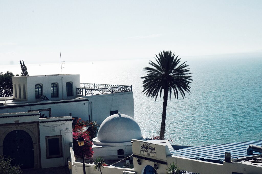 Tunis Foto: Irfan Ličina