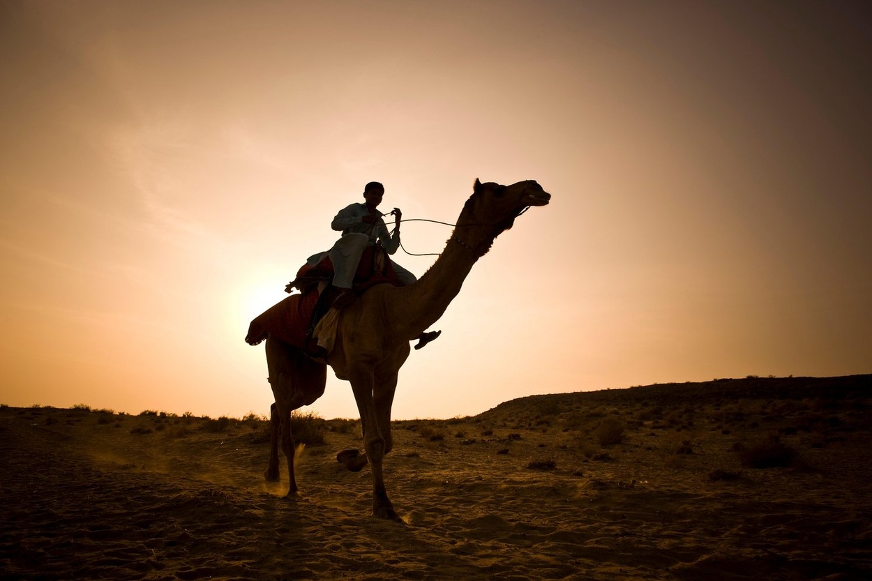 India, Rajasthan, Jaisalmer, Camel Ride