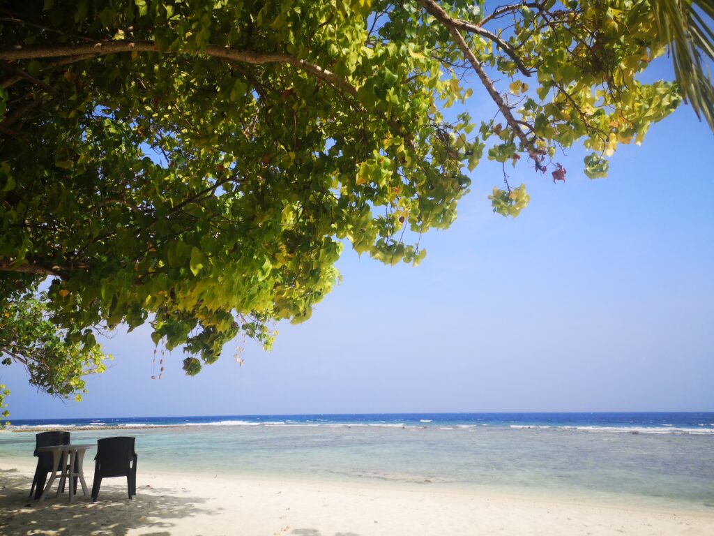 Maldivi