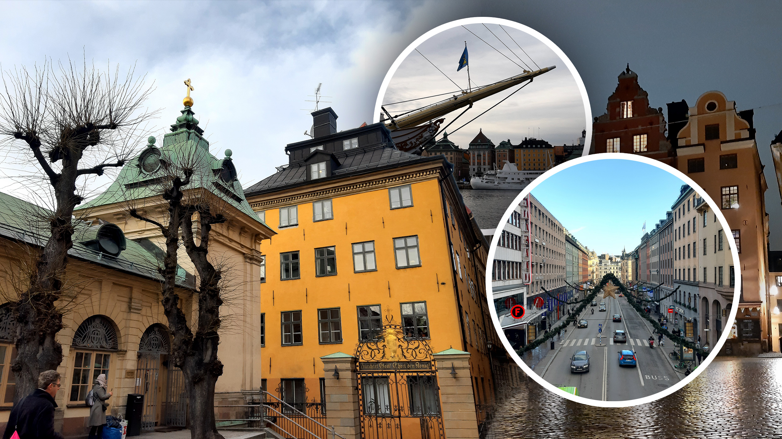 Katarina Milovac reportaža, kombo