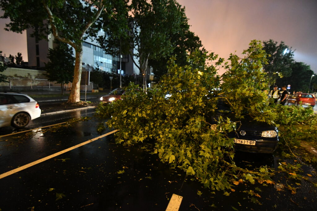 Novi Sad, 19.07.2023. Olujni oblaci, sprema se nevreme,oluja, posledice nevremena u novom Sadu, polomljeno drvo Foto: Nenad Mihajlović/Nova.rs
