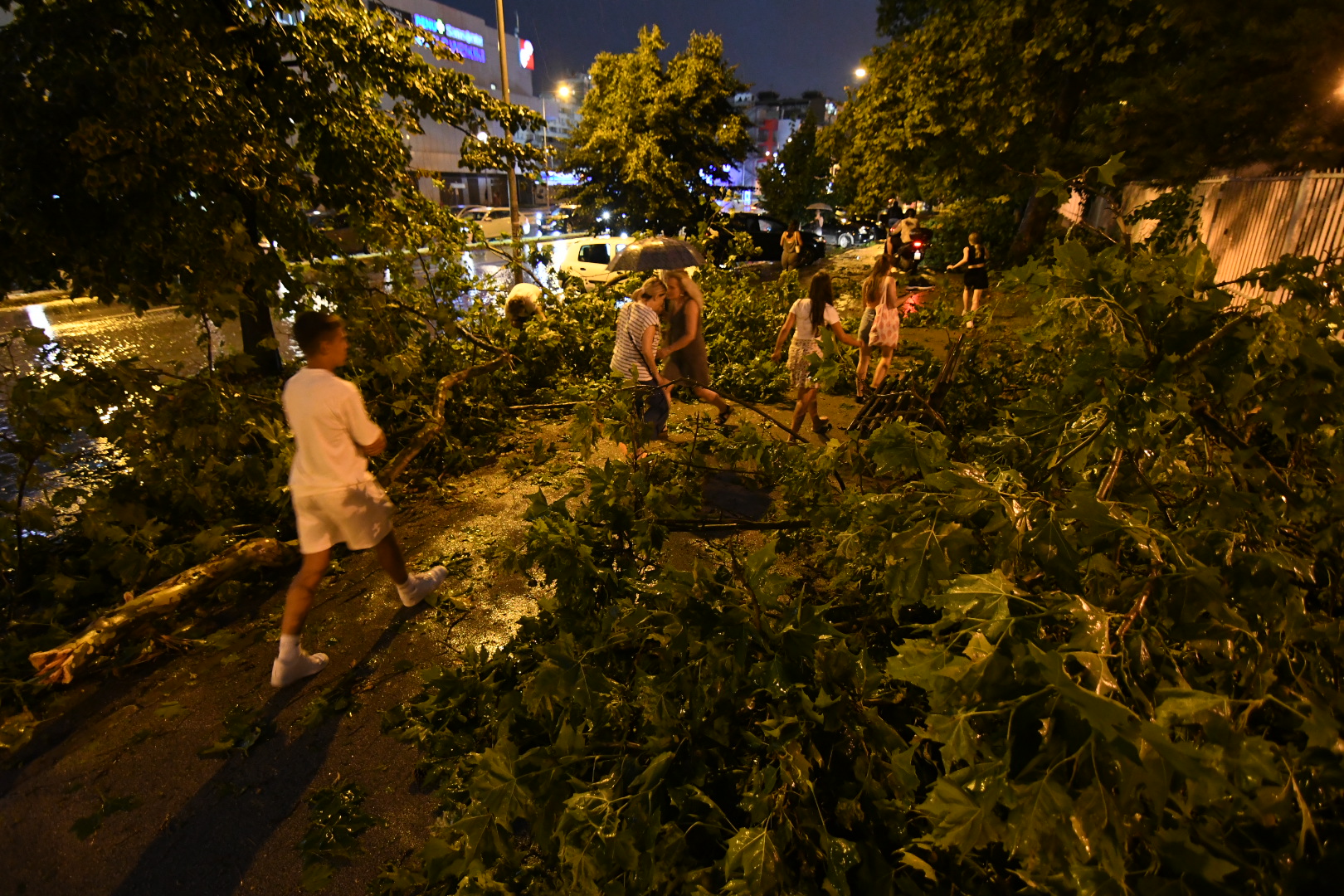 Novi Sad, 19.07.2023. Olujni oblaci, sprema se nevreme,oluja, posledice nevremena u novom Sadu, polomljeno drveće Foto: Nenad Mihajlović/Nova.rs
