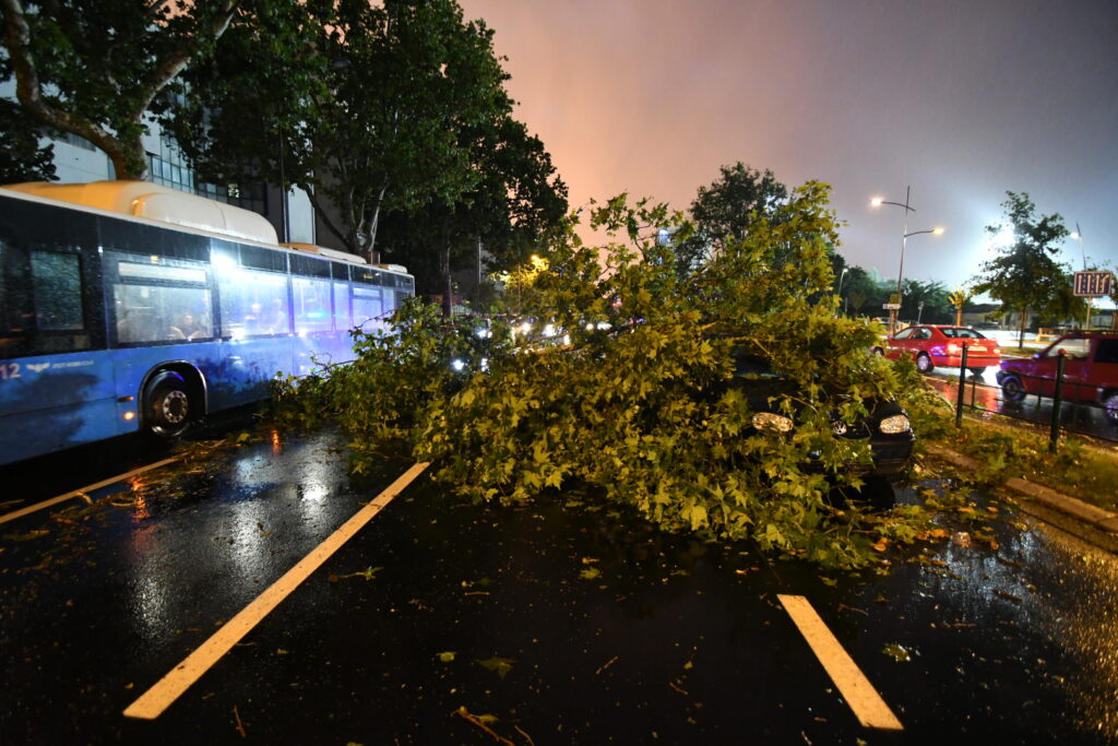 Novi Sad, 19.07.2023. Olujni oblaci, sprema se nevreme,oluja, posledice nevremena u novom Sadu,  polomljeno drvoFoto: Nenad Mihajlović/Nova.rs