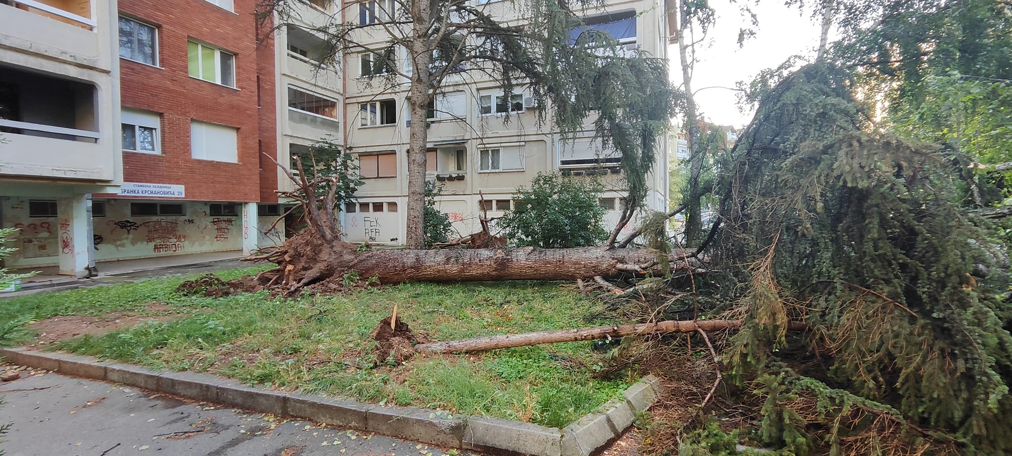 Niš, Nevreme, Oluja jutro  20.jul 2023. Foto: Miroslav Gligorijević uz njegovu dozvolu , Poslala Biljana Ljubisavljević