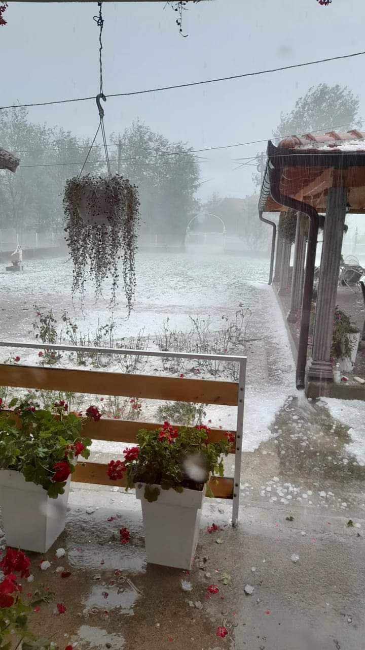 kraljevo (1)