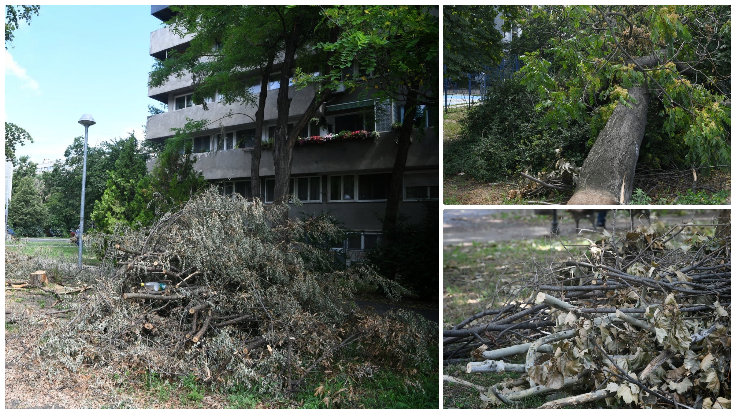 collage posledice nevremena