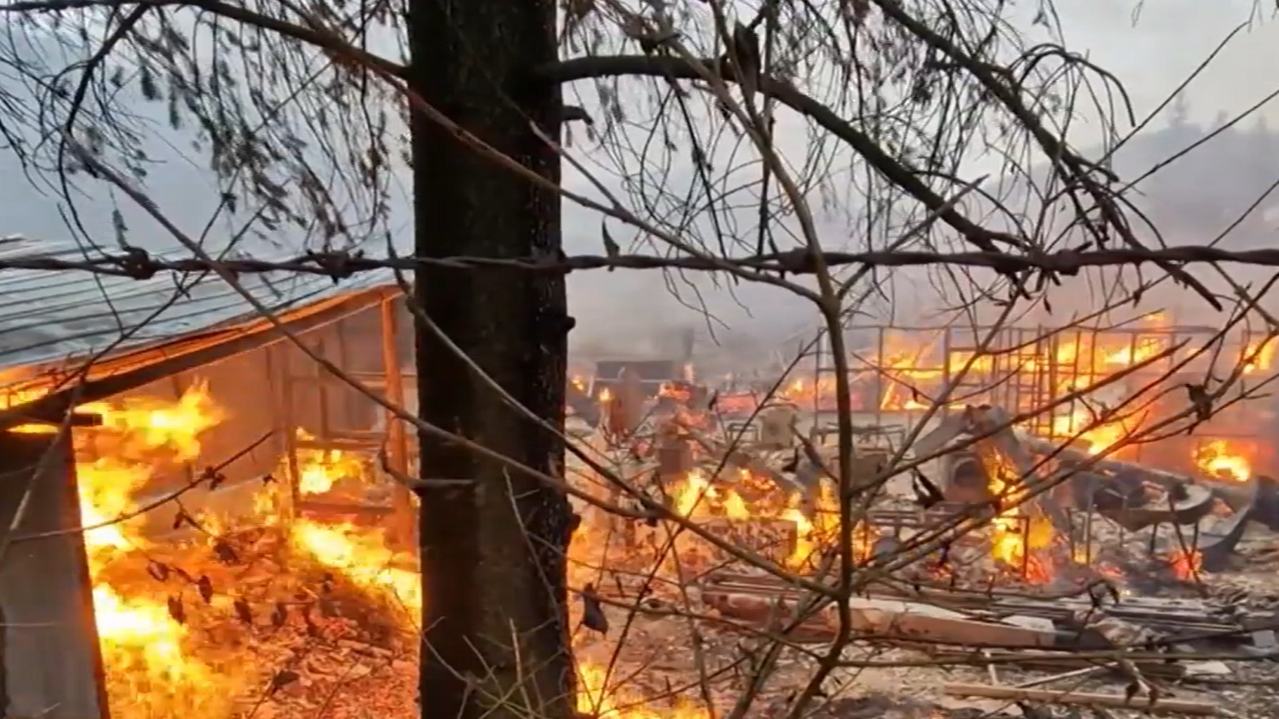 Užice požar