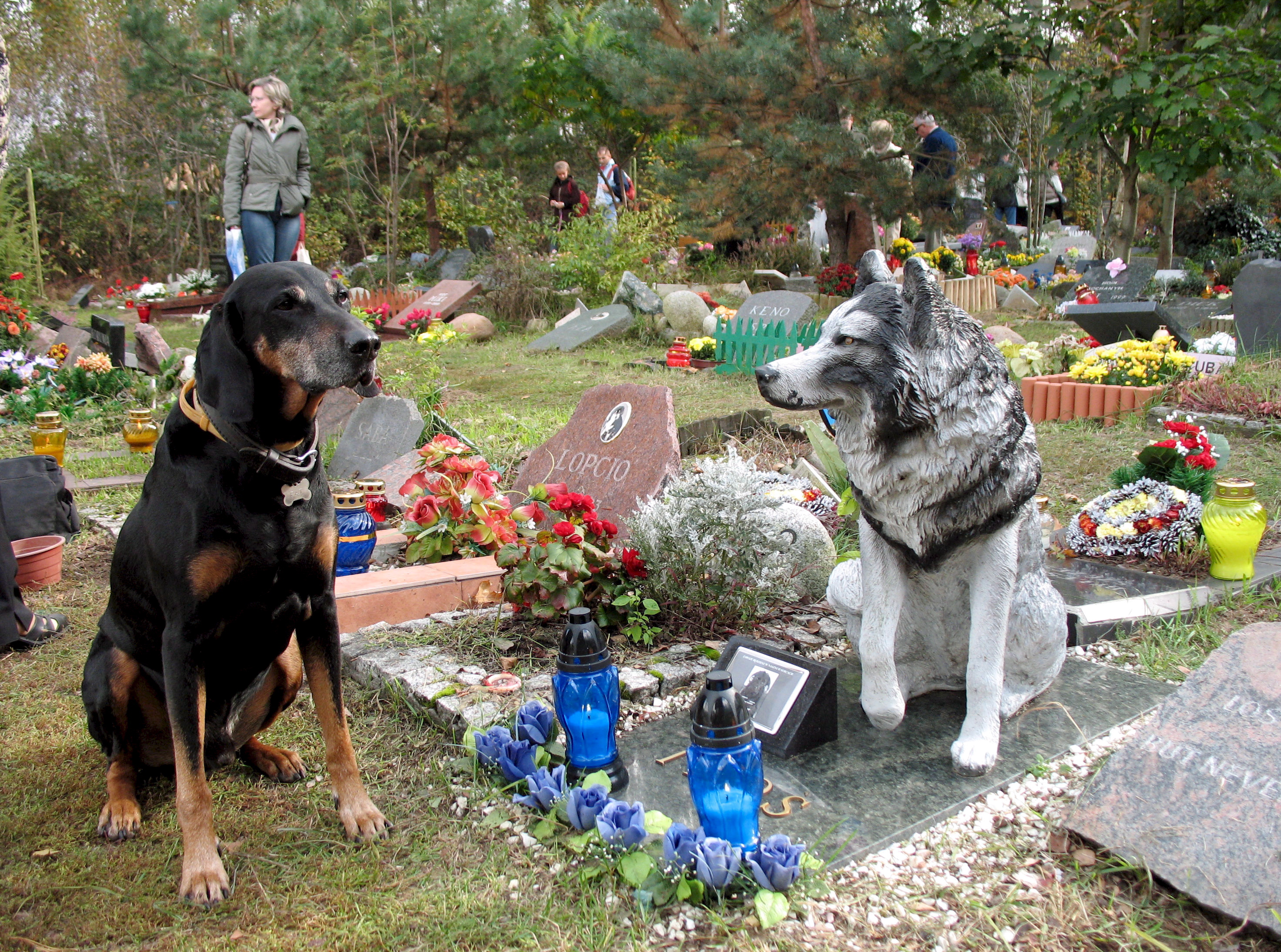 Poland pet cemetery in Konik Nowy groblje kucnih ljubimaca