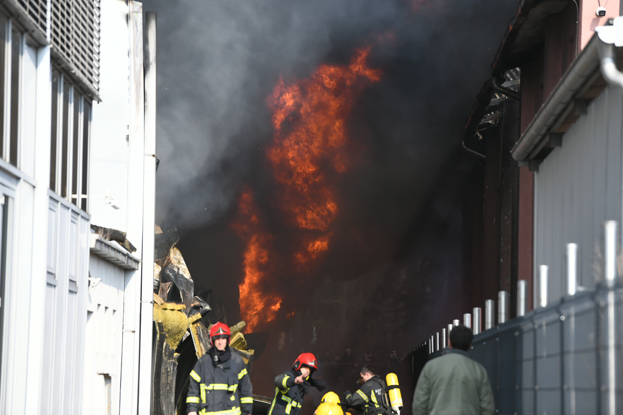 Pozar Galenika prodavnica guma, vatrogasci