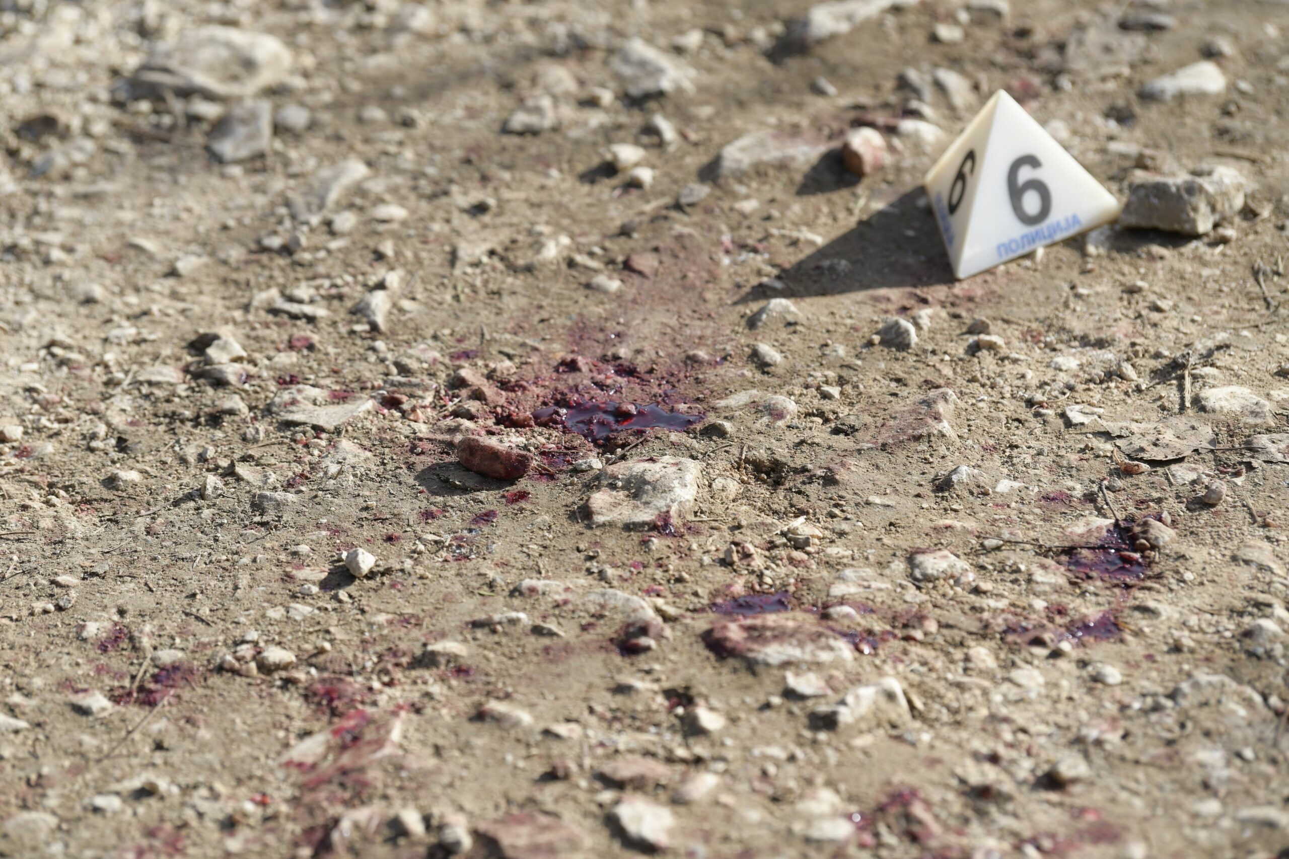 Velika Ivanca 05. januar 2023. Meto napada na novinara analiticara psi rastrgli coveka Foto:Goran Srdanov/Nova.rs