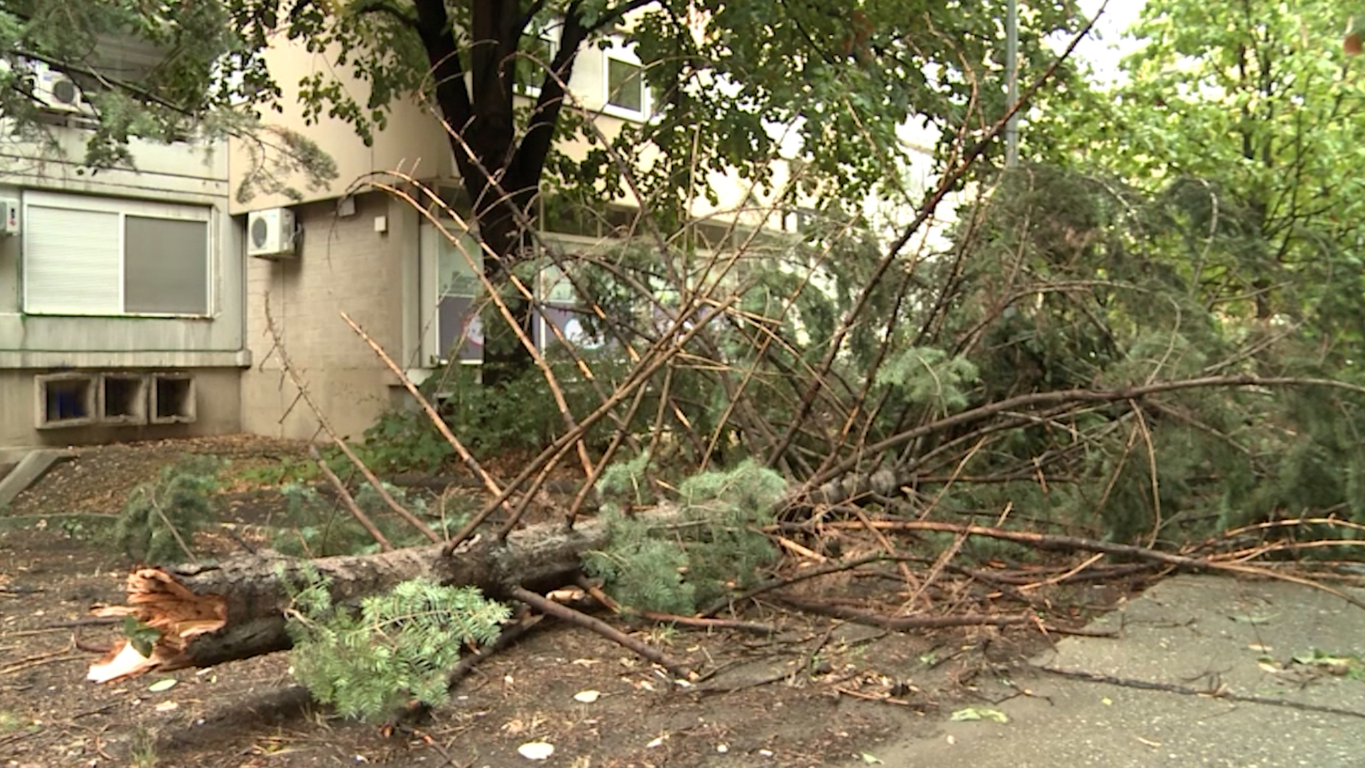 Posledice nevremena u Novom Sadu