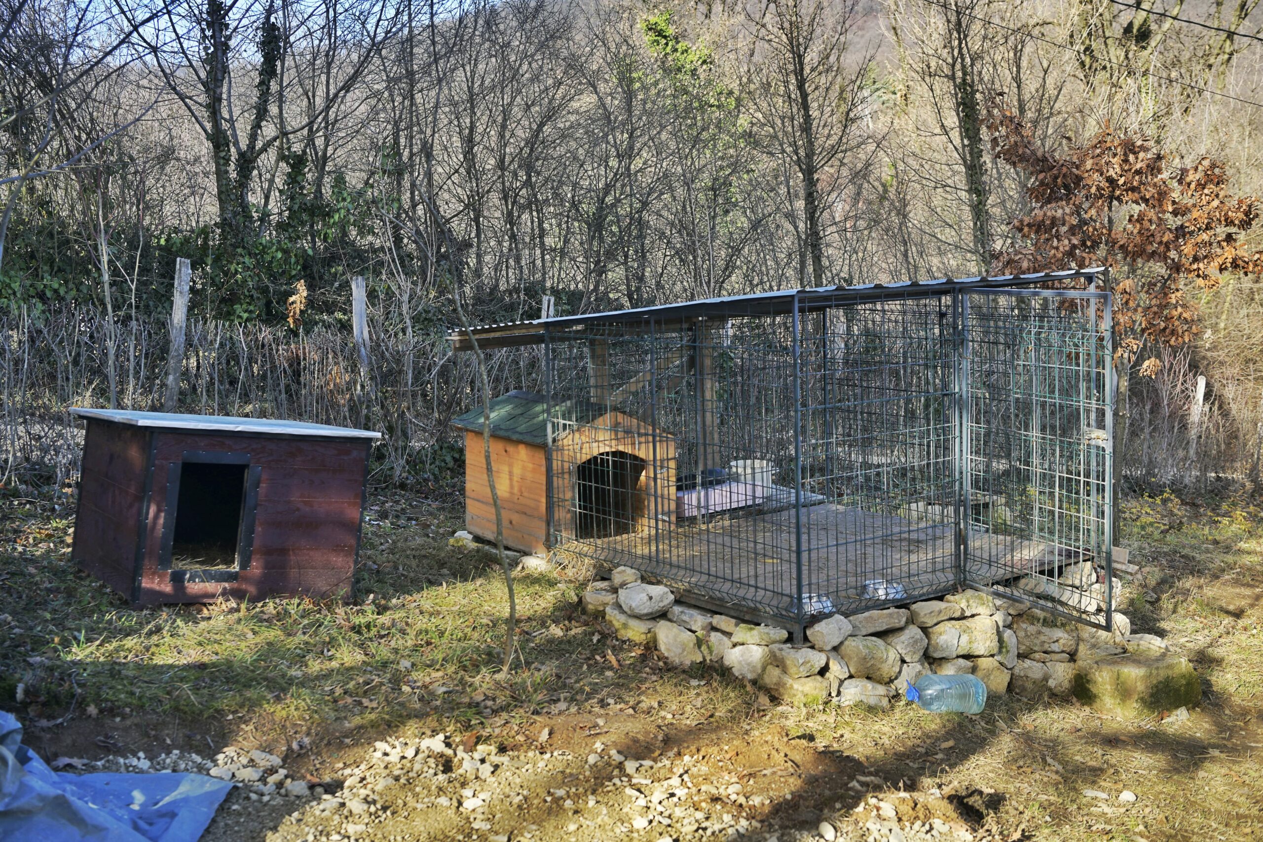 Velika Ivanca 05. januar 2023. Meto napada na novinara analiticara psi rastrgli coveka Foto:Goran Srdanov/Nova.rs