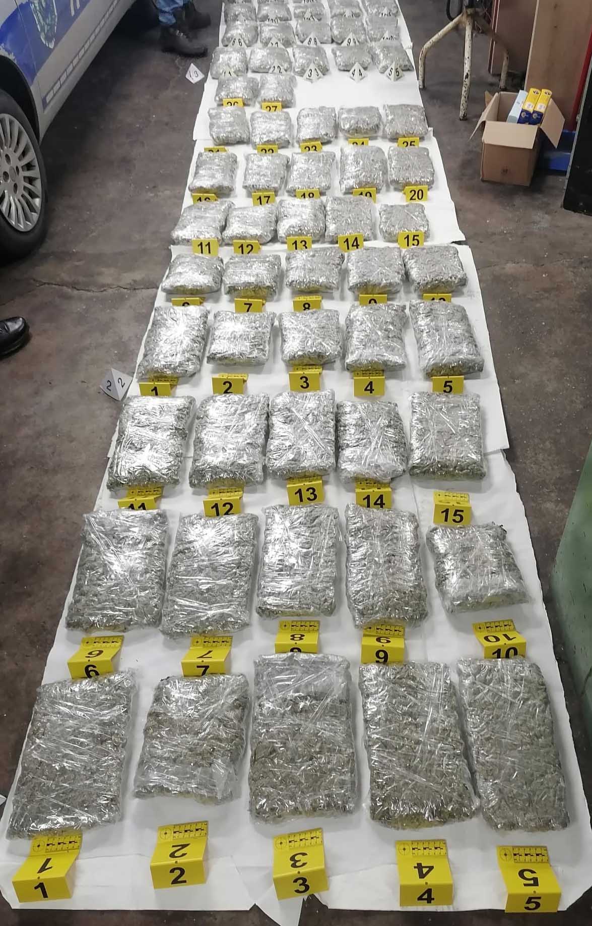 Šabac, hapšenje, zaplena, droga, marihuana Foto: MUP