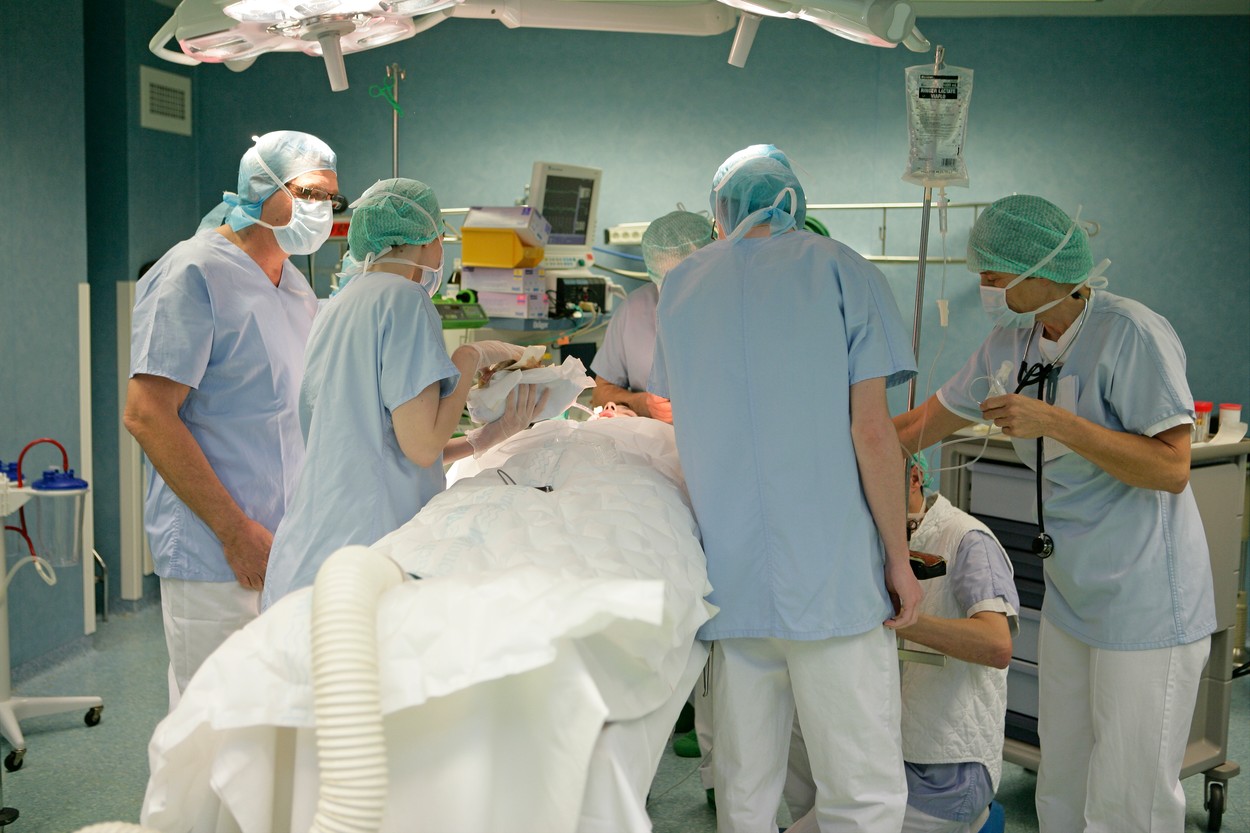 SKIN TRANSPLANTATION