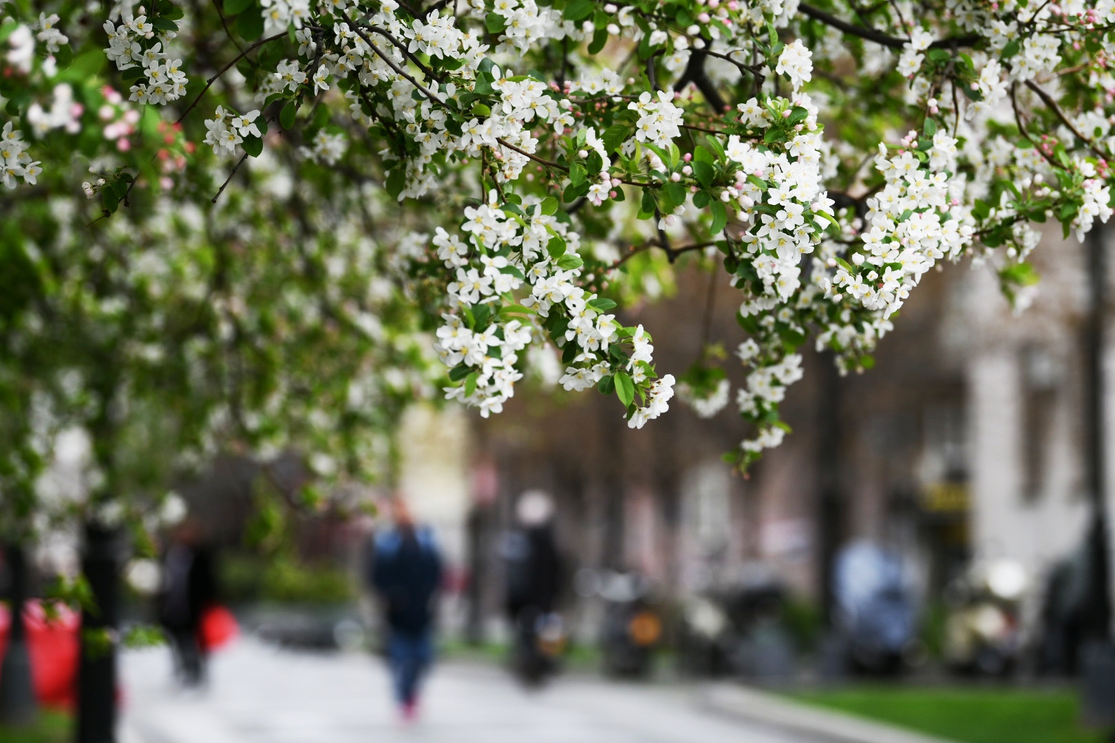 Beograd 03. april 2023. Vreme, Kalemegdan, vremenska prognoza, oblačno Foto:Vesna Lalić/Nova.rs