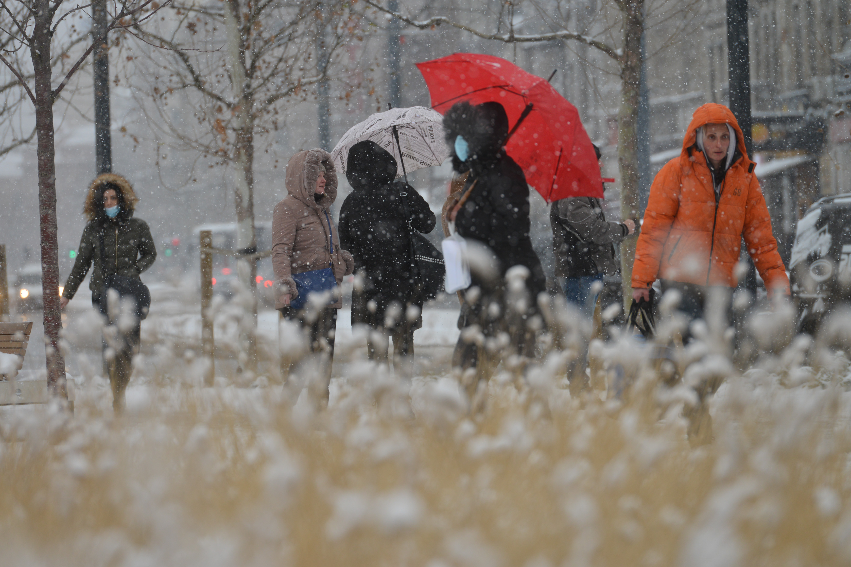 SNEG U BEOGRADU Vreme sneg prognoza vremenska