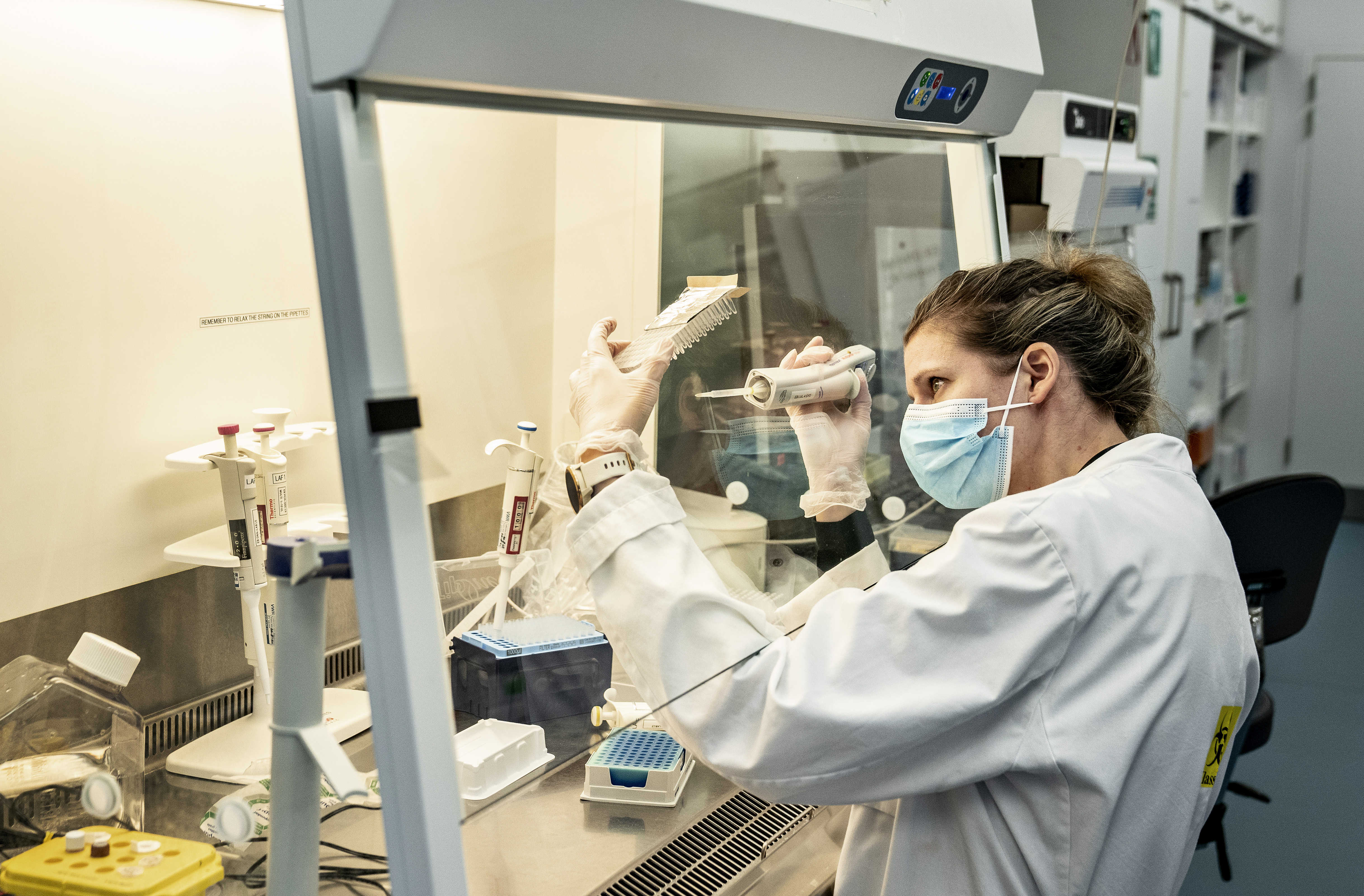 Denmark screening for coronavirus variant Danska korona laboratorija