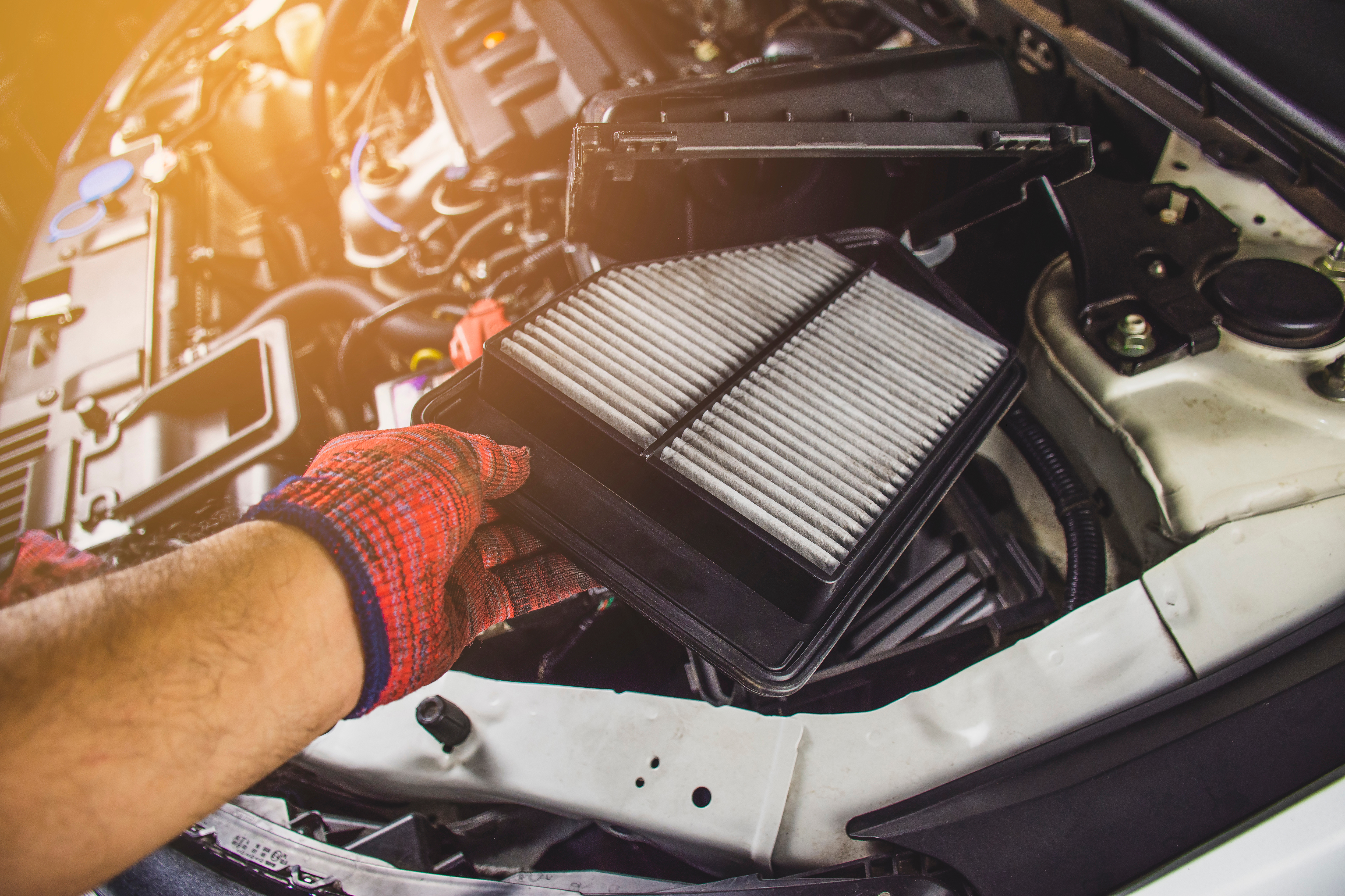 Mechanic,Hand,Is,Replacement,Car,Air,Filter,Into,The,Filter