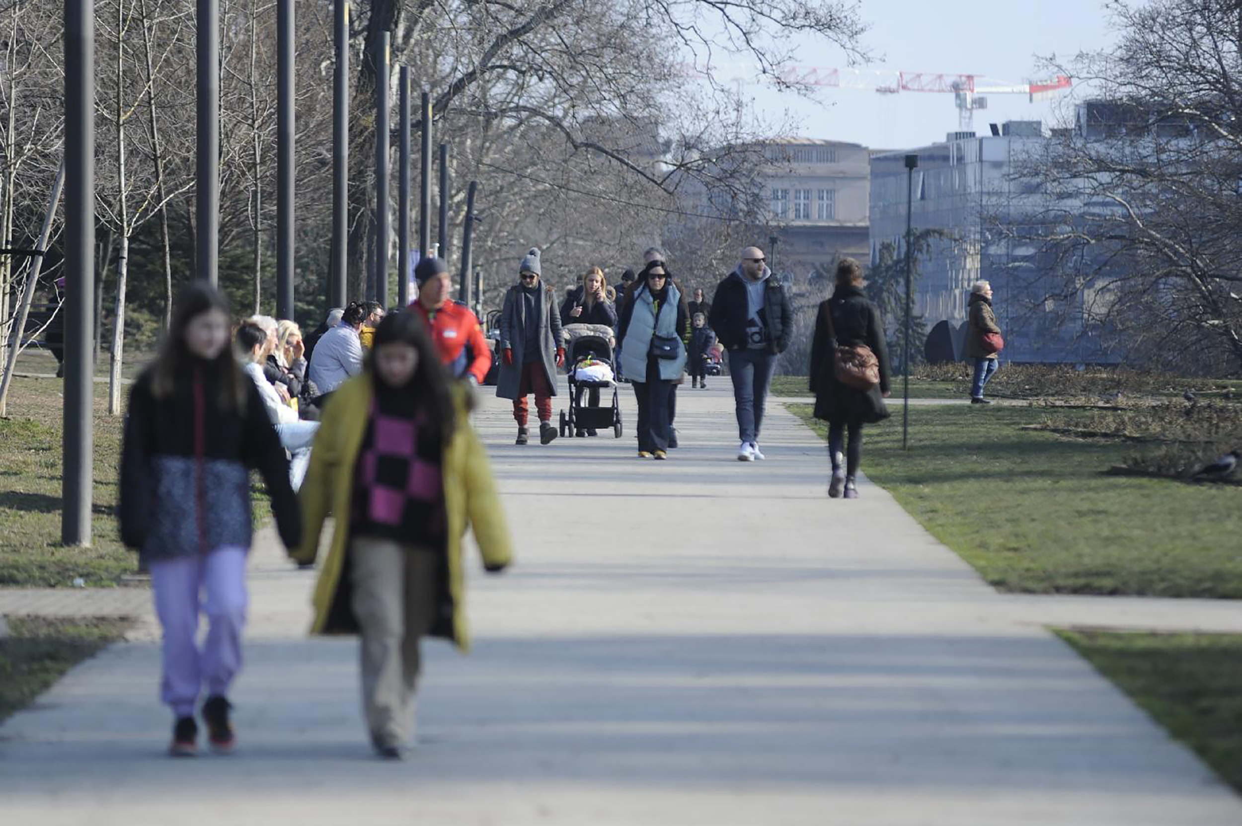 _ANA9630_3666_b copy