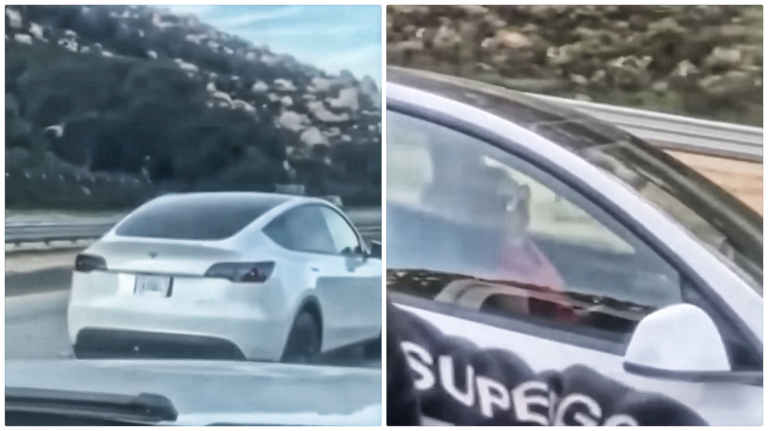 Tesla, autopilot