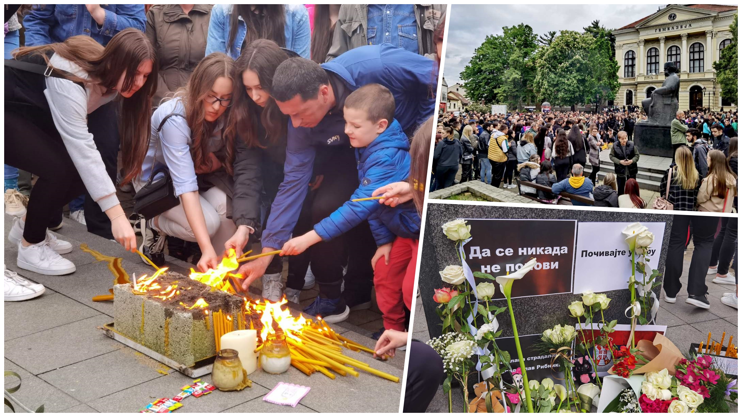 collage5345435rtzrtzrztr