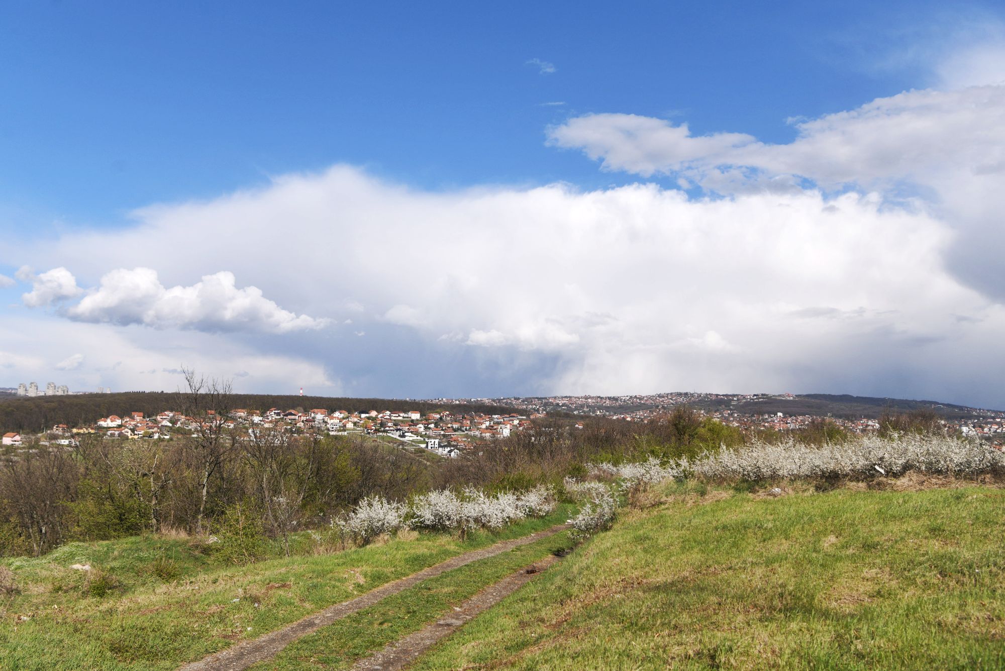 beograd lepo vreme poljana livada