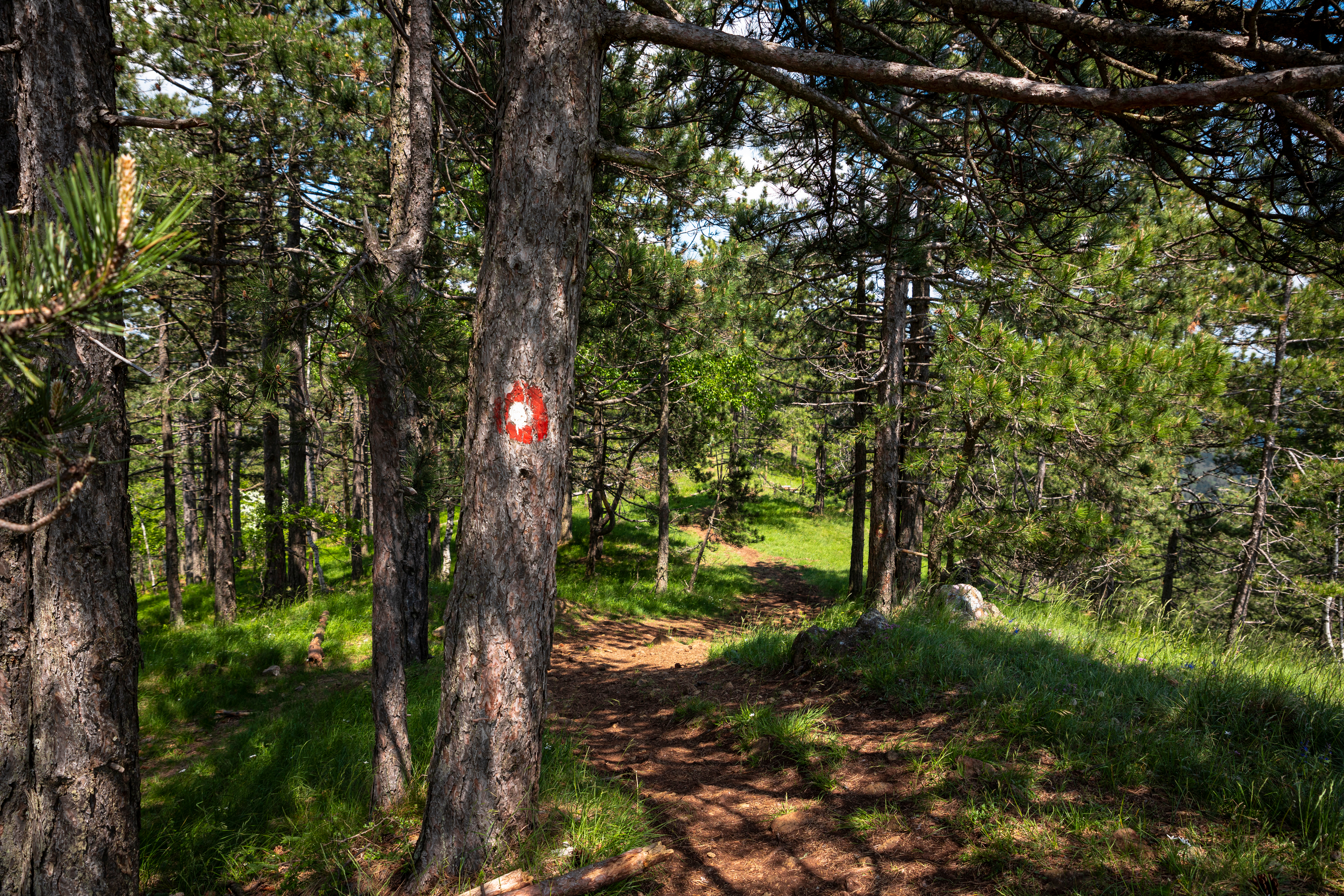 Hiking,Trail,In,The,Mountain,Divcibare,In,Serbia