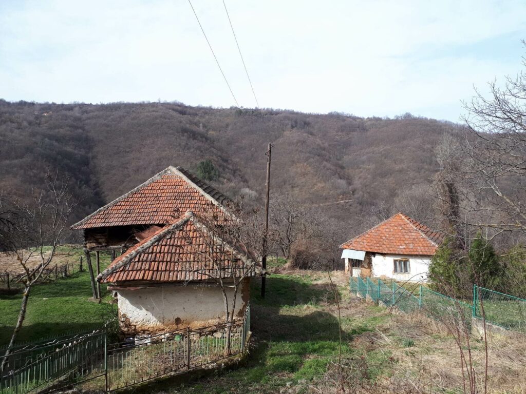 poslednji stočari na Babičkoj gori