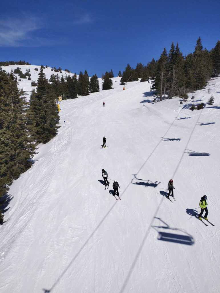 Kopaonik