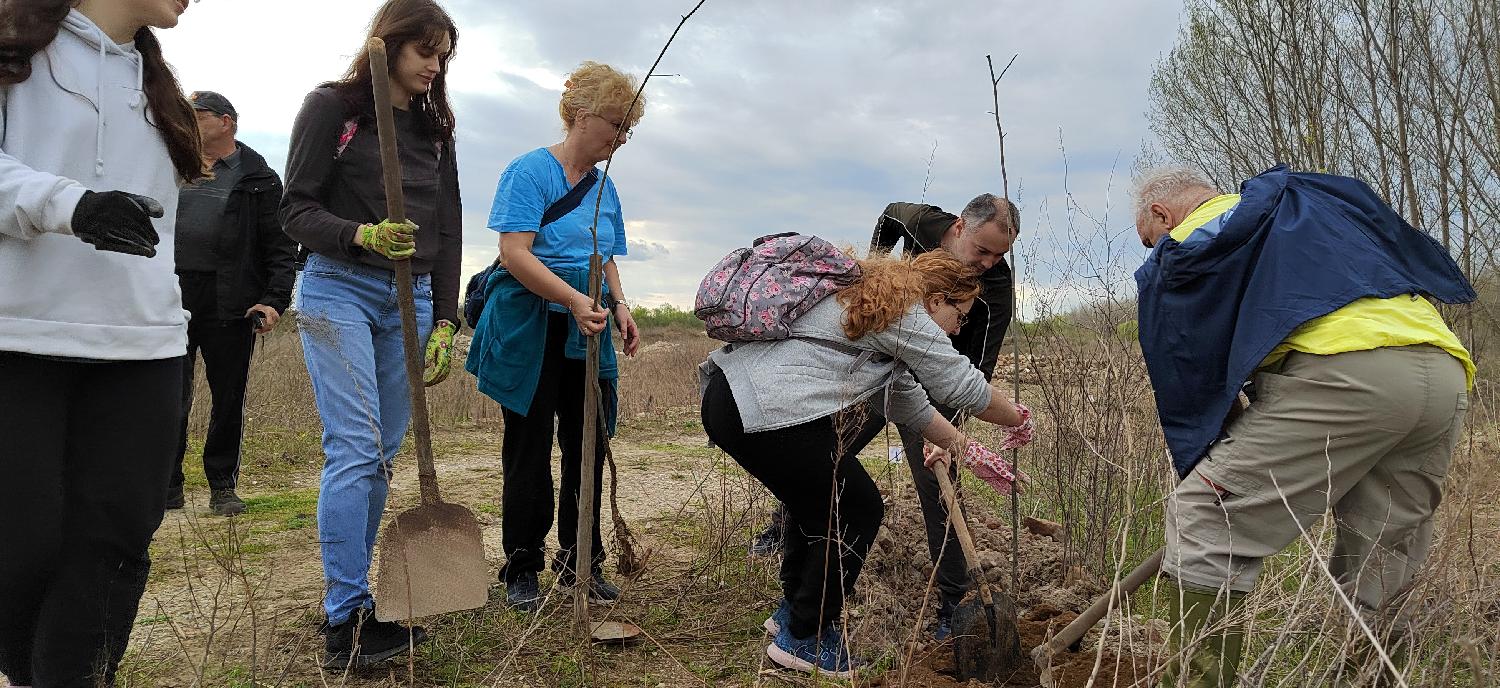 Beograd 25.03.2023. DRUŠTVO - Akivisti su u Bara Revi posadili sadnice u vrtu posvećenom skoro preminulom čuvenom beogradskom arhitekti i aktivisti Dragoljubu Bakiću Foto: FoNet/Marko Dragoslavić