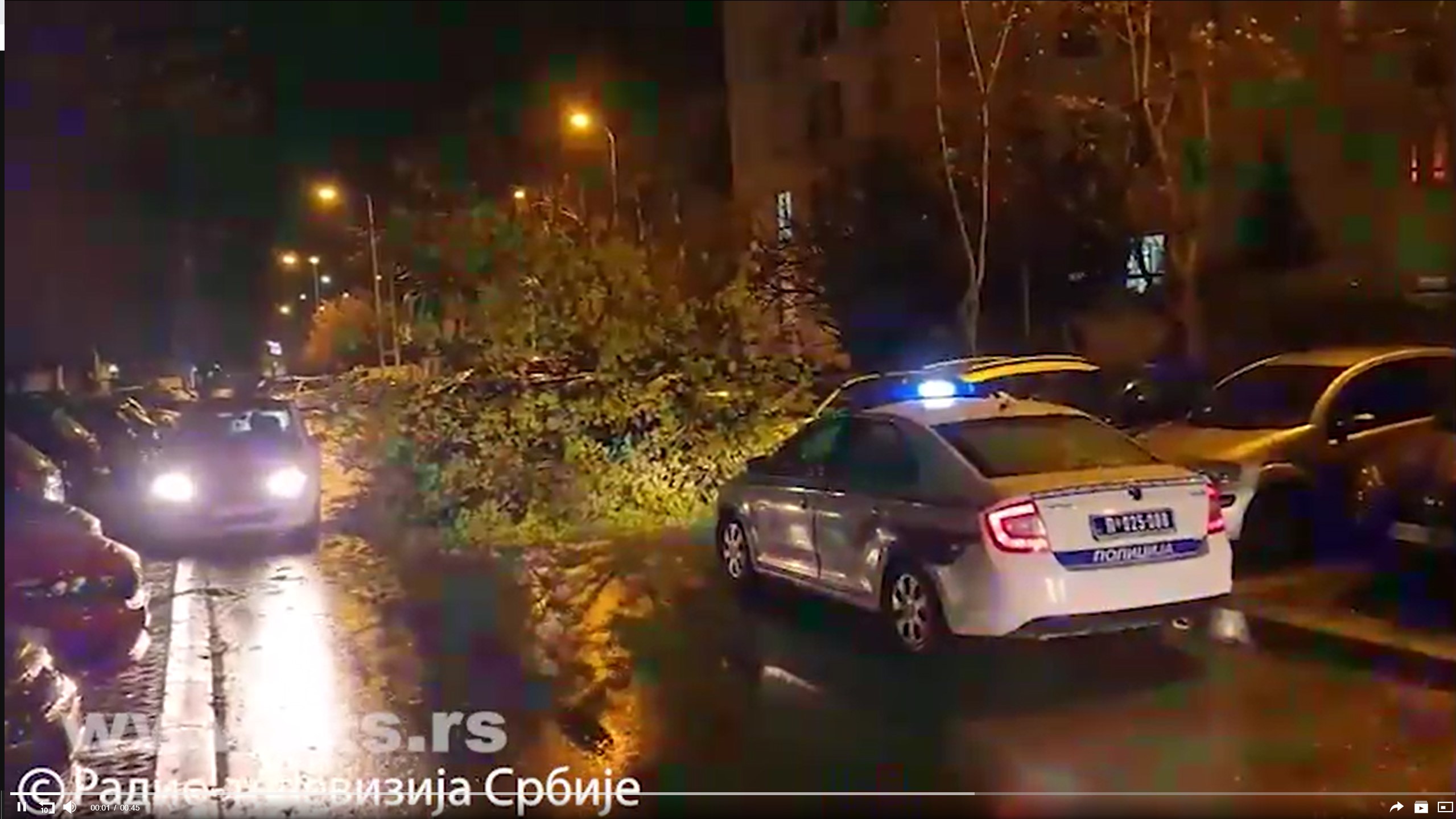 Oluja oborila drvo na Novom Beogradu