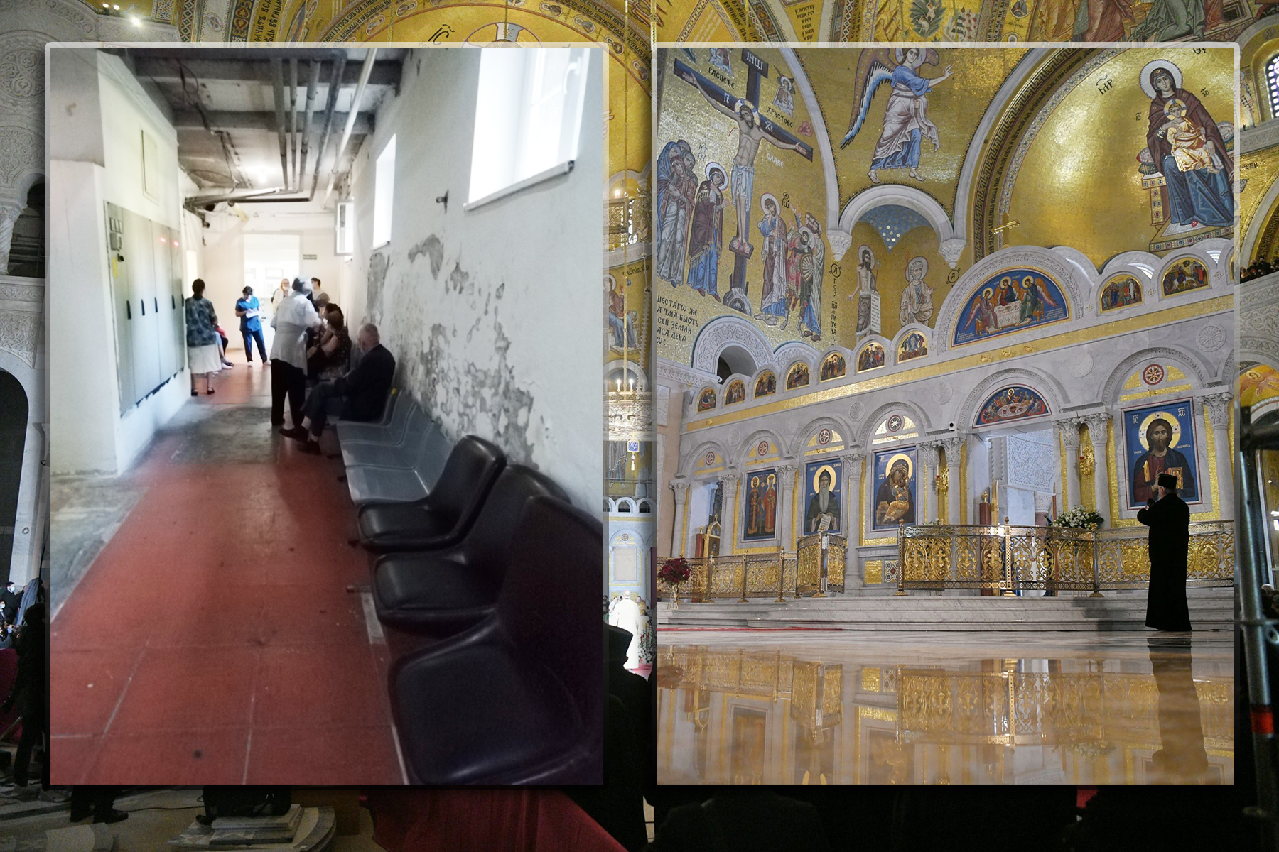 endokrinologija i sveti sava