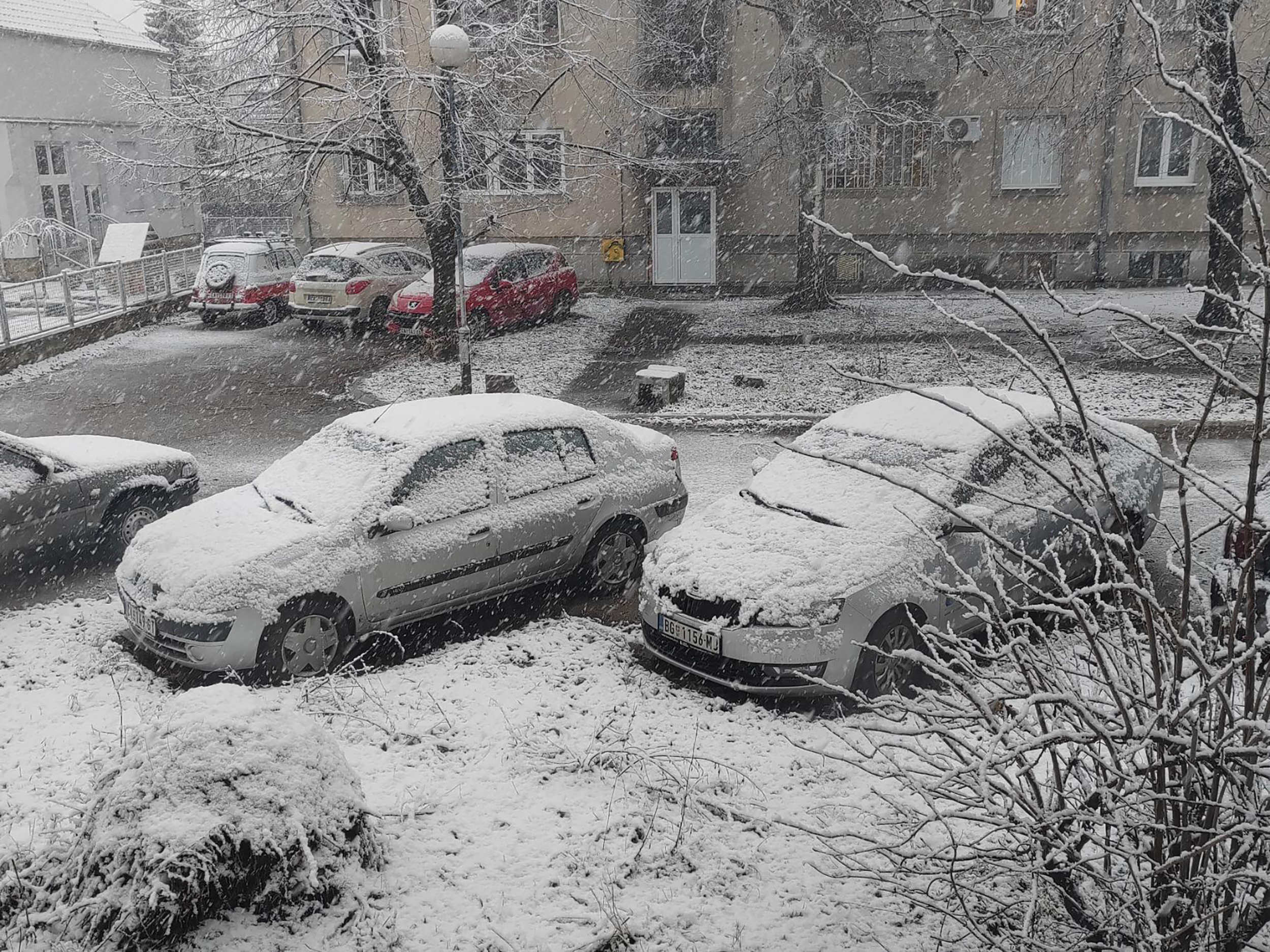 IMG-03342be2b2772ba13e38769cf5f57fab-V copy