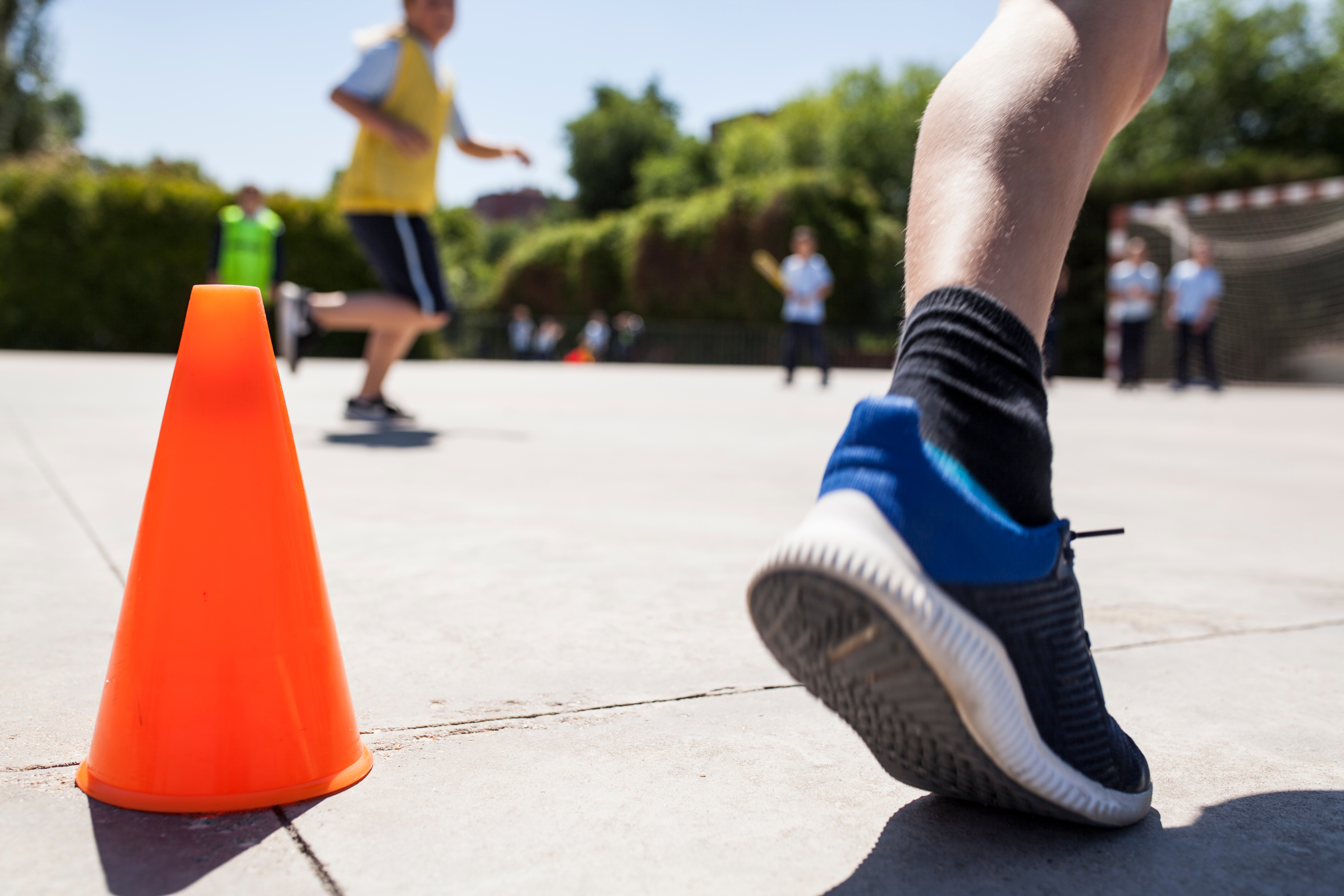 shutterstock_1118556158