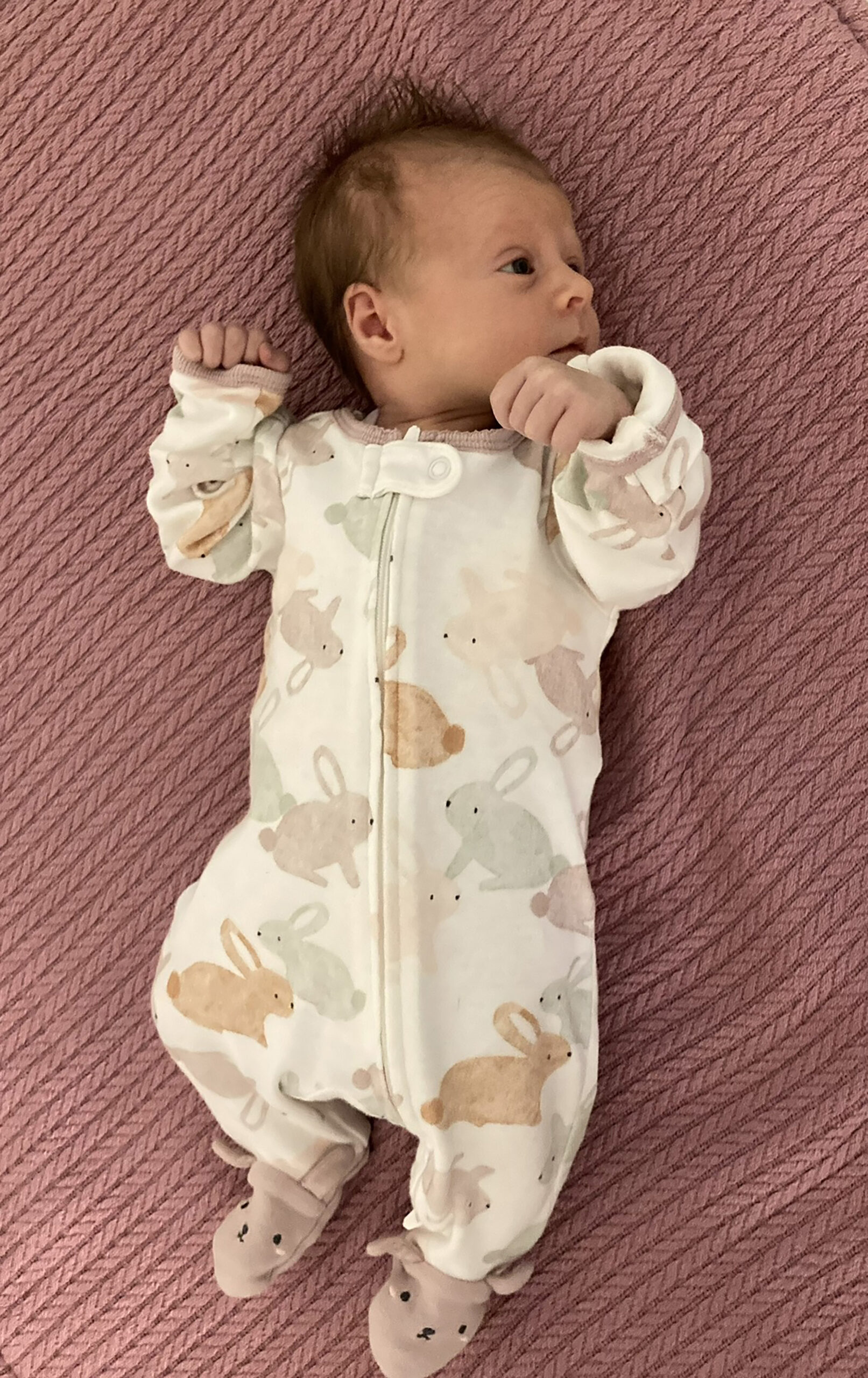 beba Petra iz Šapca vantelesna oplodja