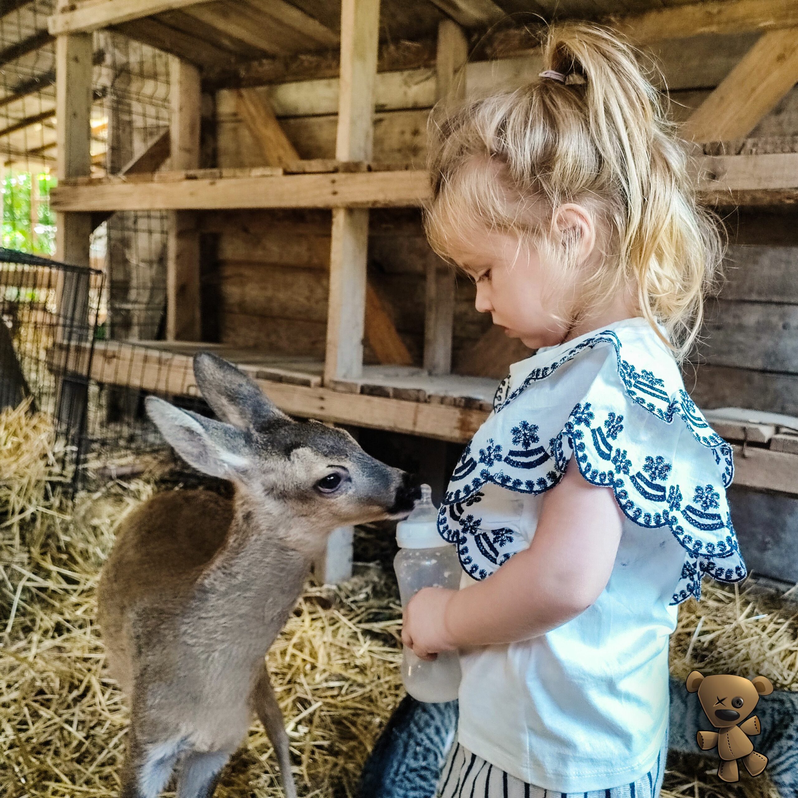 Mladi tata Petar je nova generacija očeva, a njegove ‘‘lekcije‘‘ o roditeljstvu su riznica kreativnosti, kreativni tata