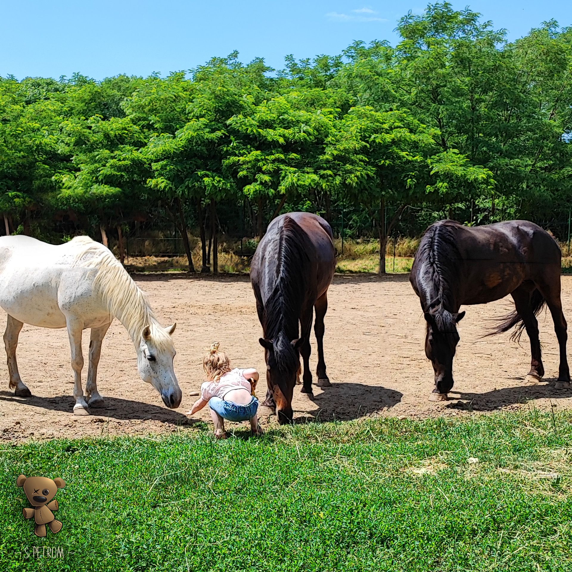 Mladi tata Petar je nova generacija očeva, a njegove ‘‘lekcije‘‘ o roditeljstvu su riznica kreativnosti, kreativni tata