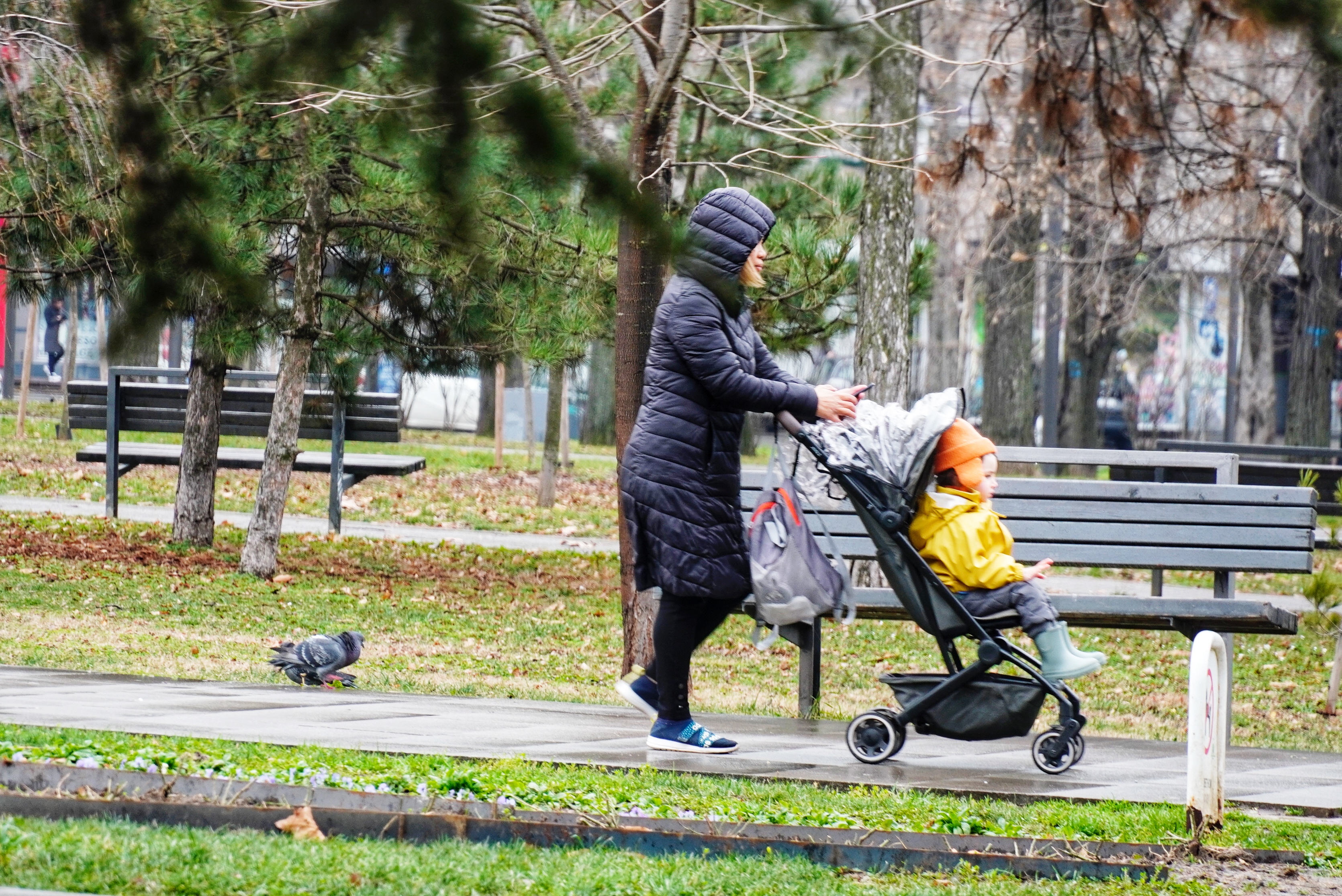 Beograd, 9. januara 2023 - Podne u Beogradu. FOTO TANJUG/ VLADIMIR PORÈIÆ/bs kiša zena kolica