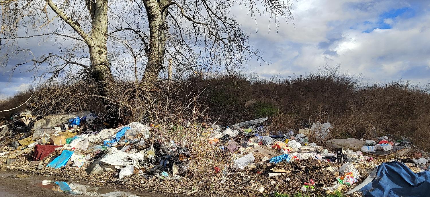 Beograd 18.01.2023. DRUŠTVO - u Bulevaru Vudroa Vilsona, nadomak Beogradskog sajma, niče divlja deponija. Foto: FoNet/Marko Dragoslavić