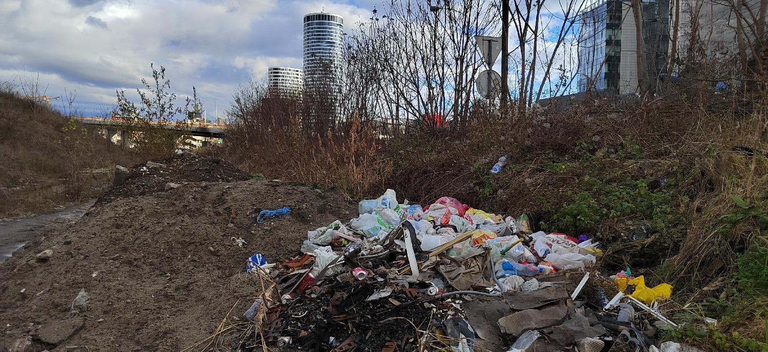 Beograd 18.01.2023. DRUŠTVO - u Bulevaru Vudroa Vilsona, nadomak Beogradskog sajma, niče divlja deponija. Foto: FoNet/Marko Dragoslavić