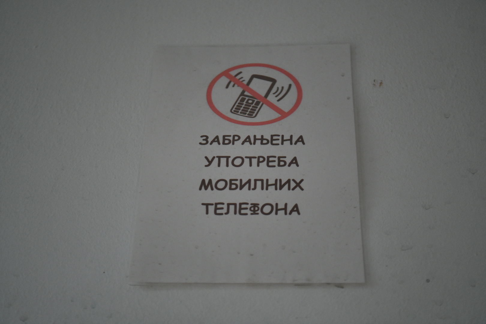 Beograd 05.09.2022. Osnovna škola Josif Pančić, Banovor brdo, OŠ Josif Pančić, škola bez mobilnih telefona, zabranjena upotreba mobilnih telefona u školi Foto: Nemanja Jovanović/Nova.rs