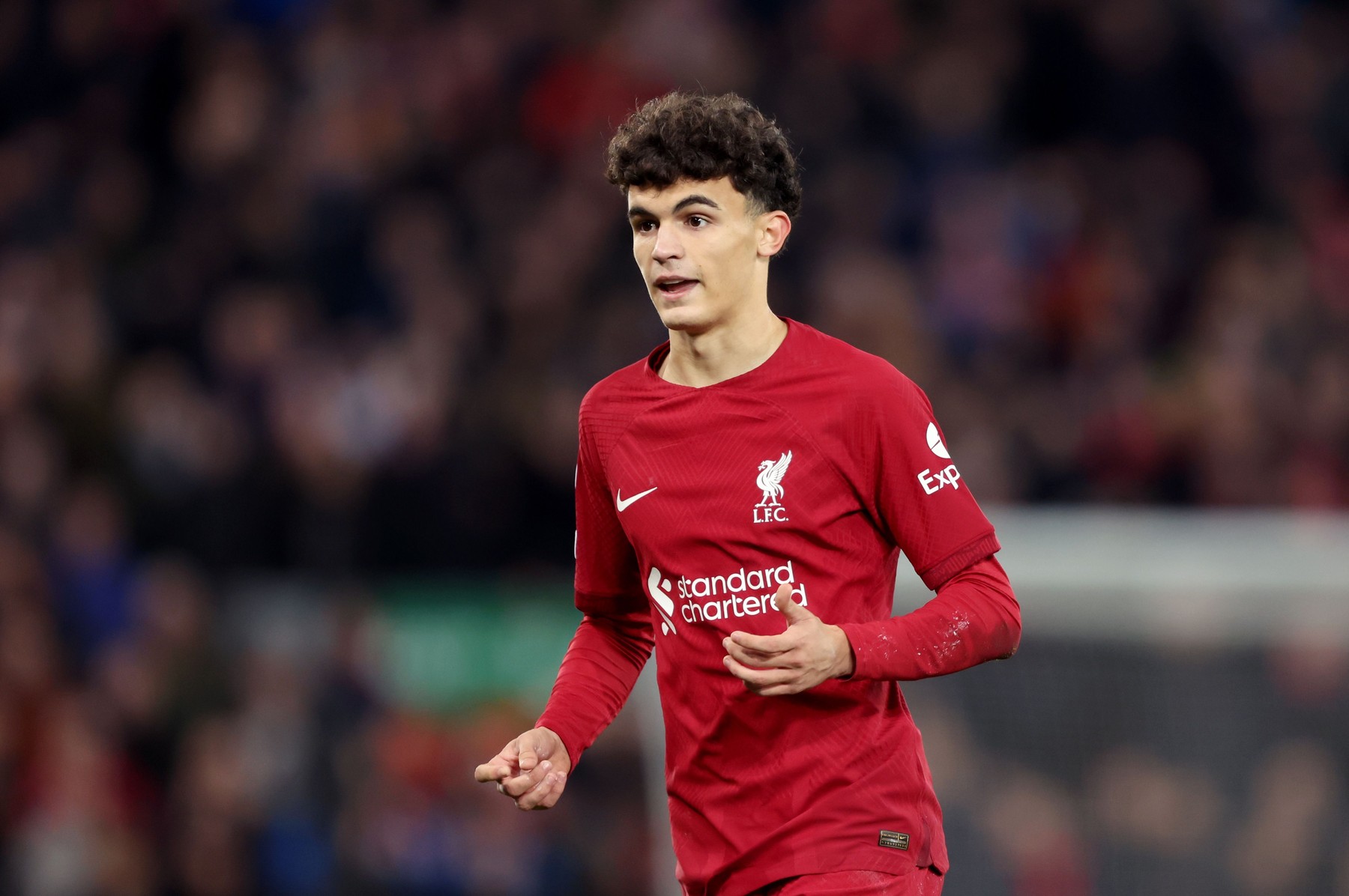 Liverpool v Napoli, UEFA Champions League, Group A, Football, Anfield, Liverpool, UK - 01 Nov 2022