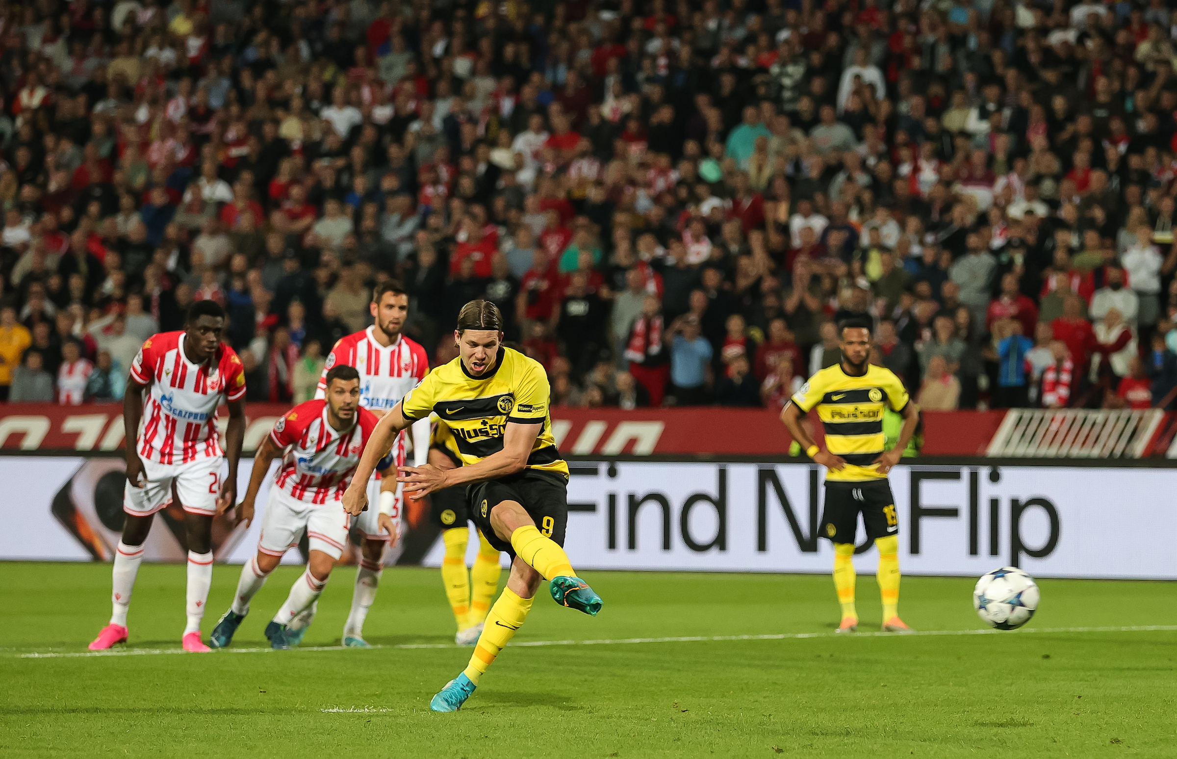FK Crvena zvezda v BSC Young Boys: Group G - UEFA Champions League 2023/24