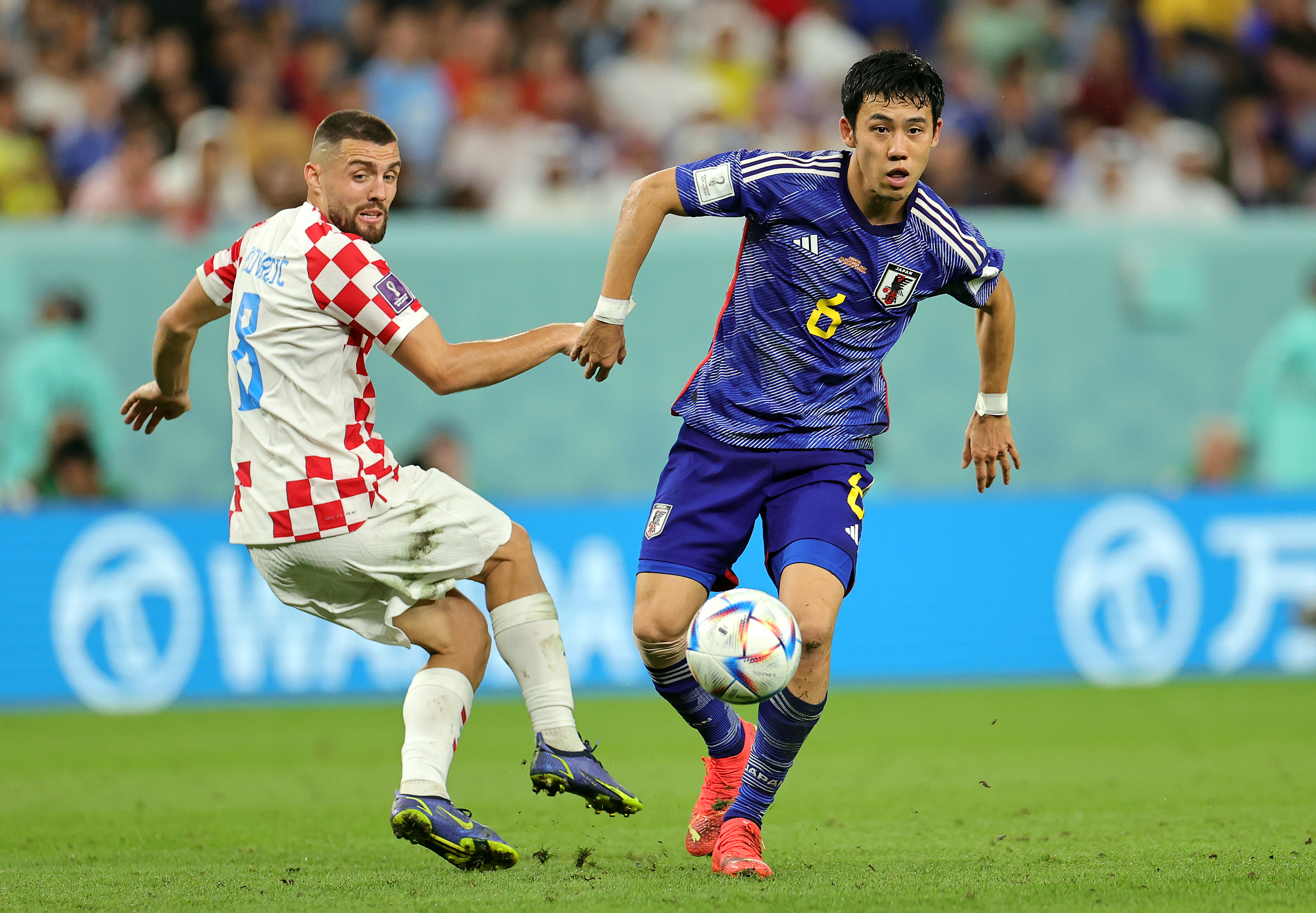 epa10349895 Wataru Endo (R) of Japan in action against Mateo Kovacic of Croatia during the FIFA World Cup 2022 round of 16 soccer match between Japan and Croatia at Al Janoub Stadium in Al Wakrah, Qatar, 05 December 2022.  EPA-EFE/Friedemann Vogel
