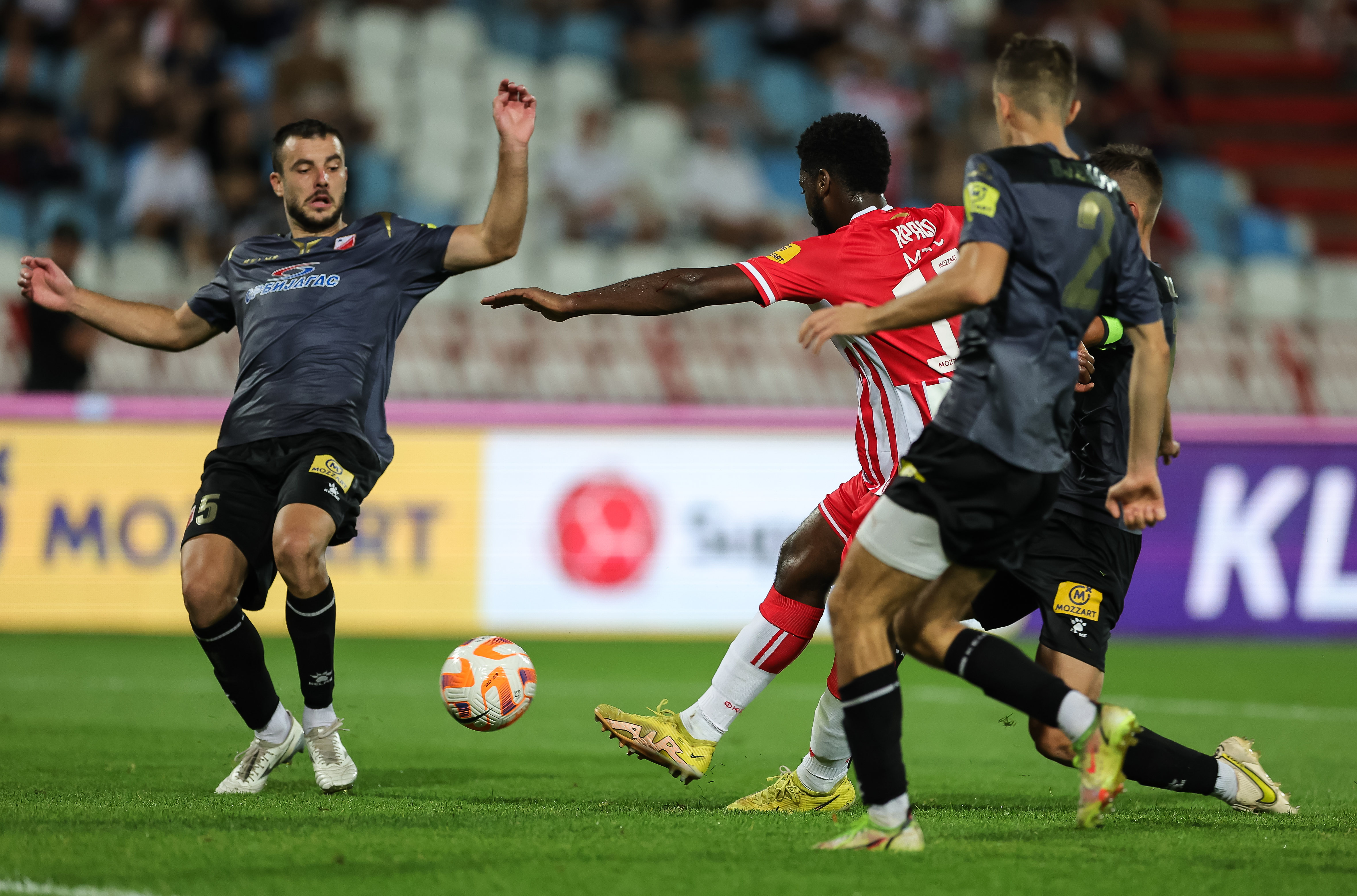 Crvena Zvezda and Vojvodina - Mozzart Super League Season 2023/2024