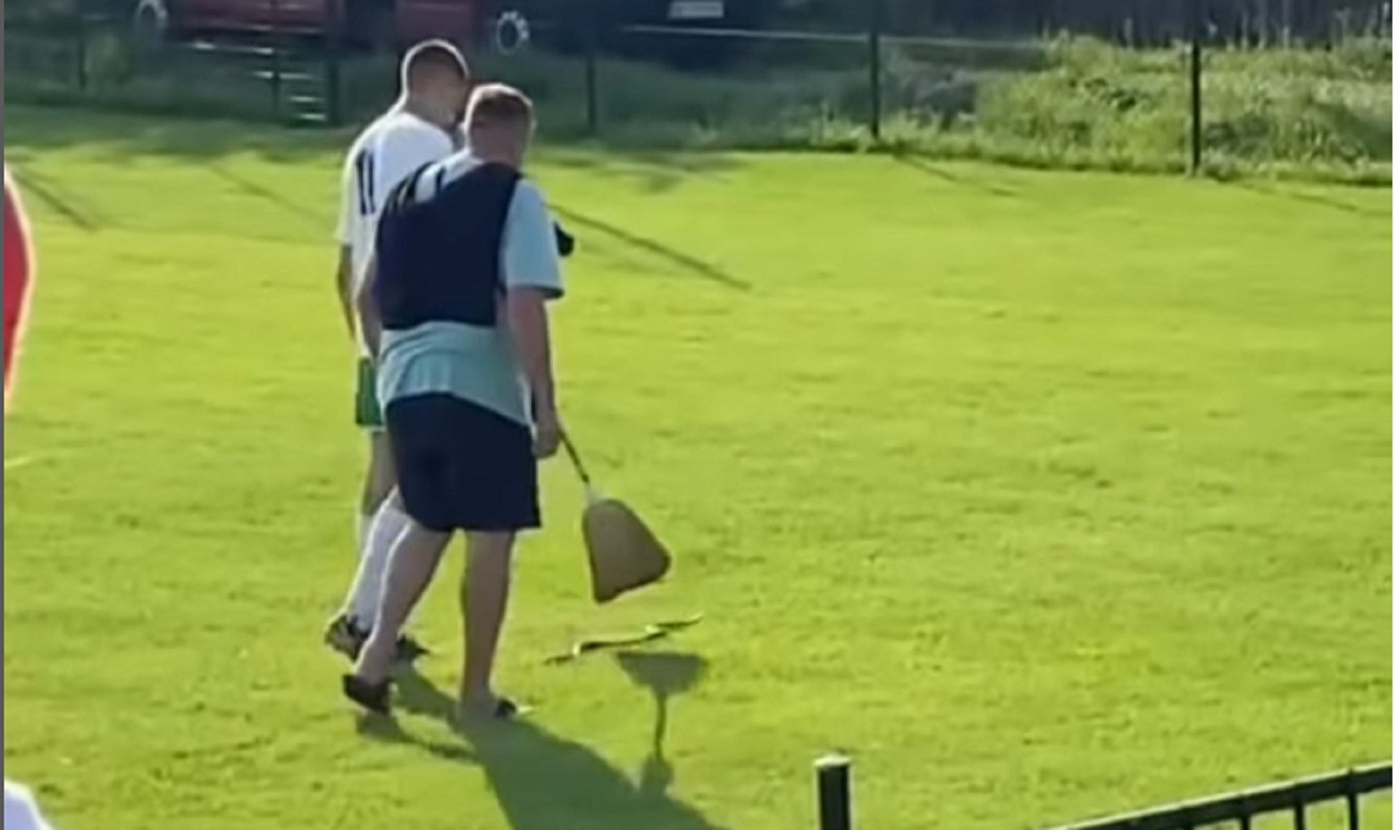 zmija na terenu