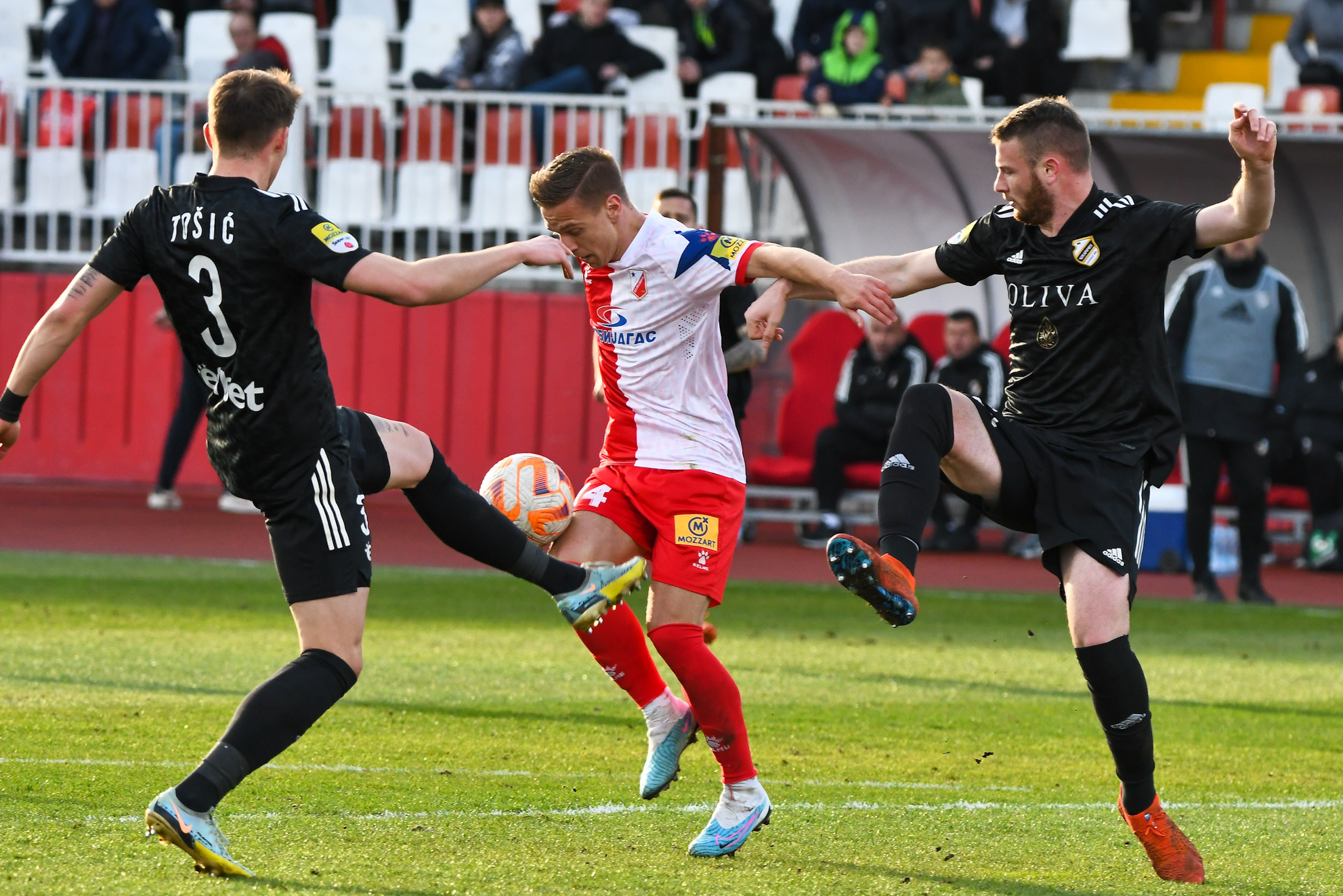 Vojvodina-Cukaricki_-7